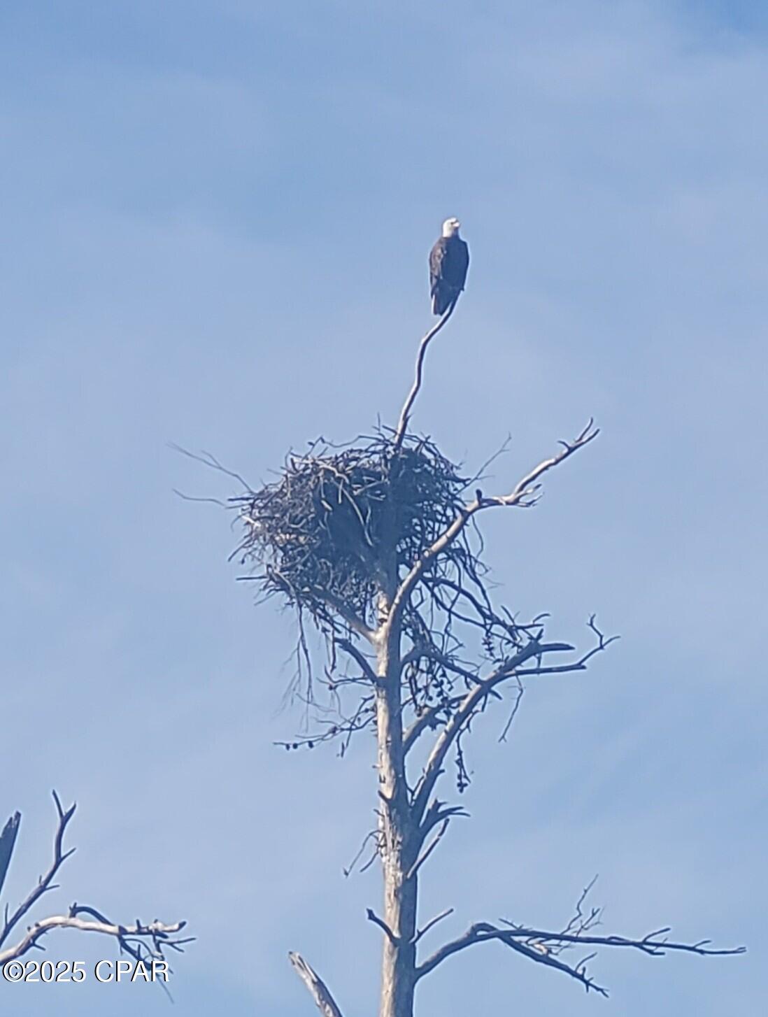 4958 Lake Ridge Drive