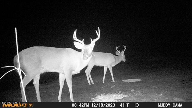 4958 Lake Ridge Drive