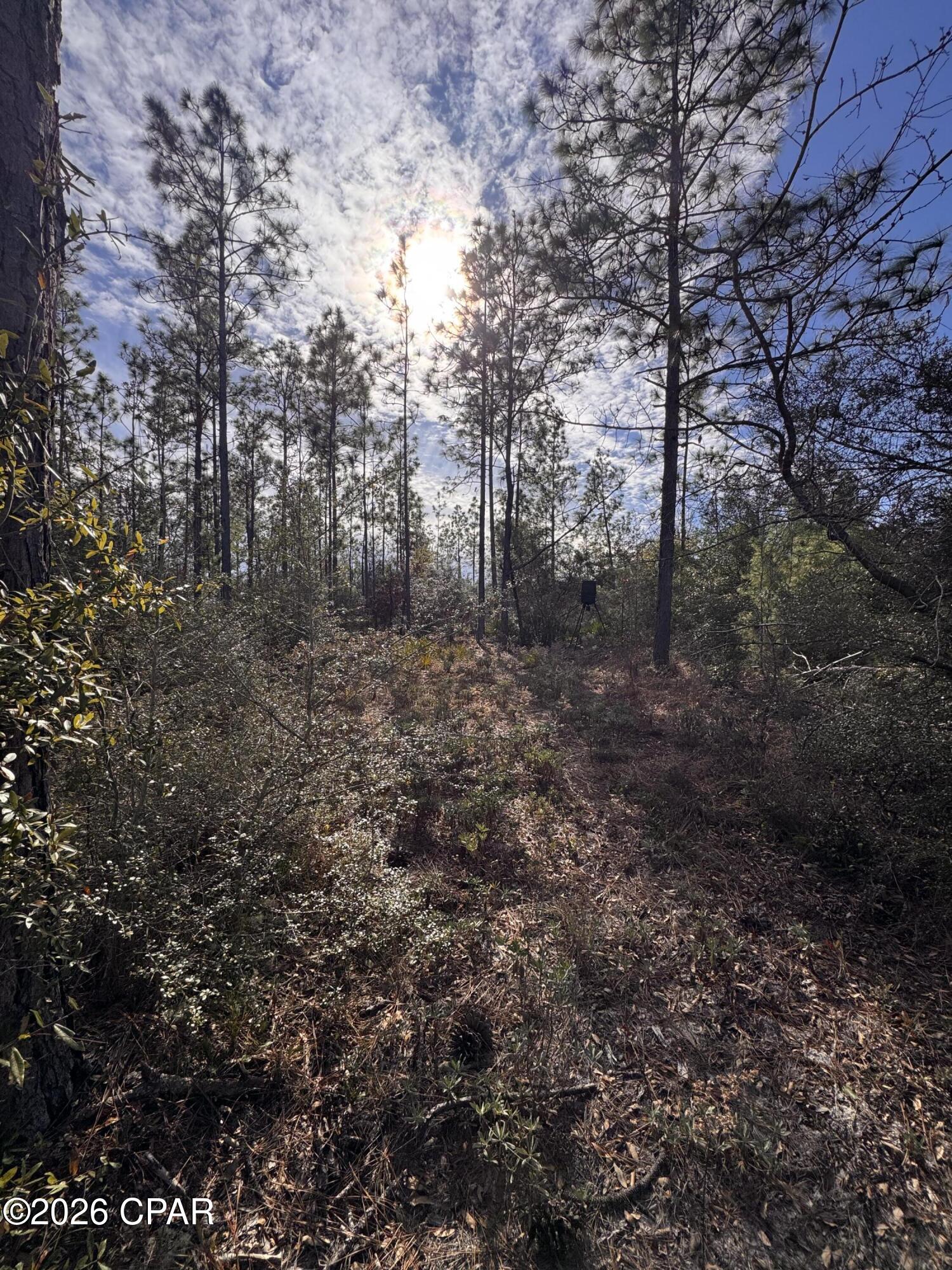 23588 NW Lamont Road