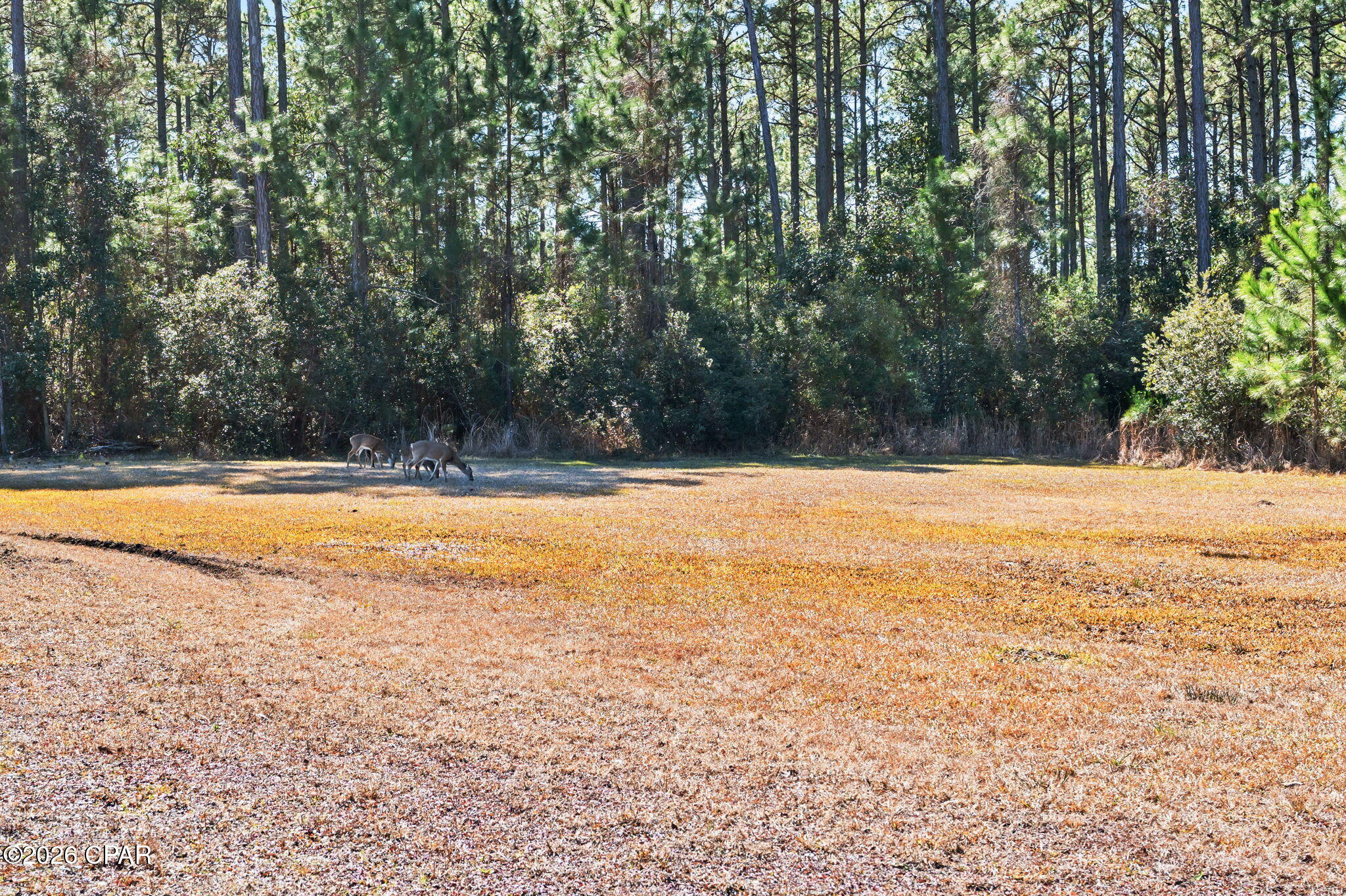 8419 Deepwater Creek Lane