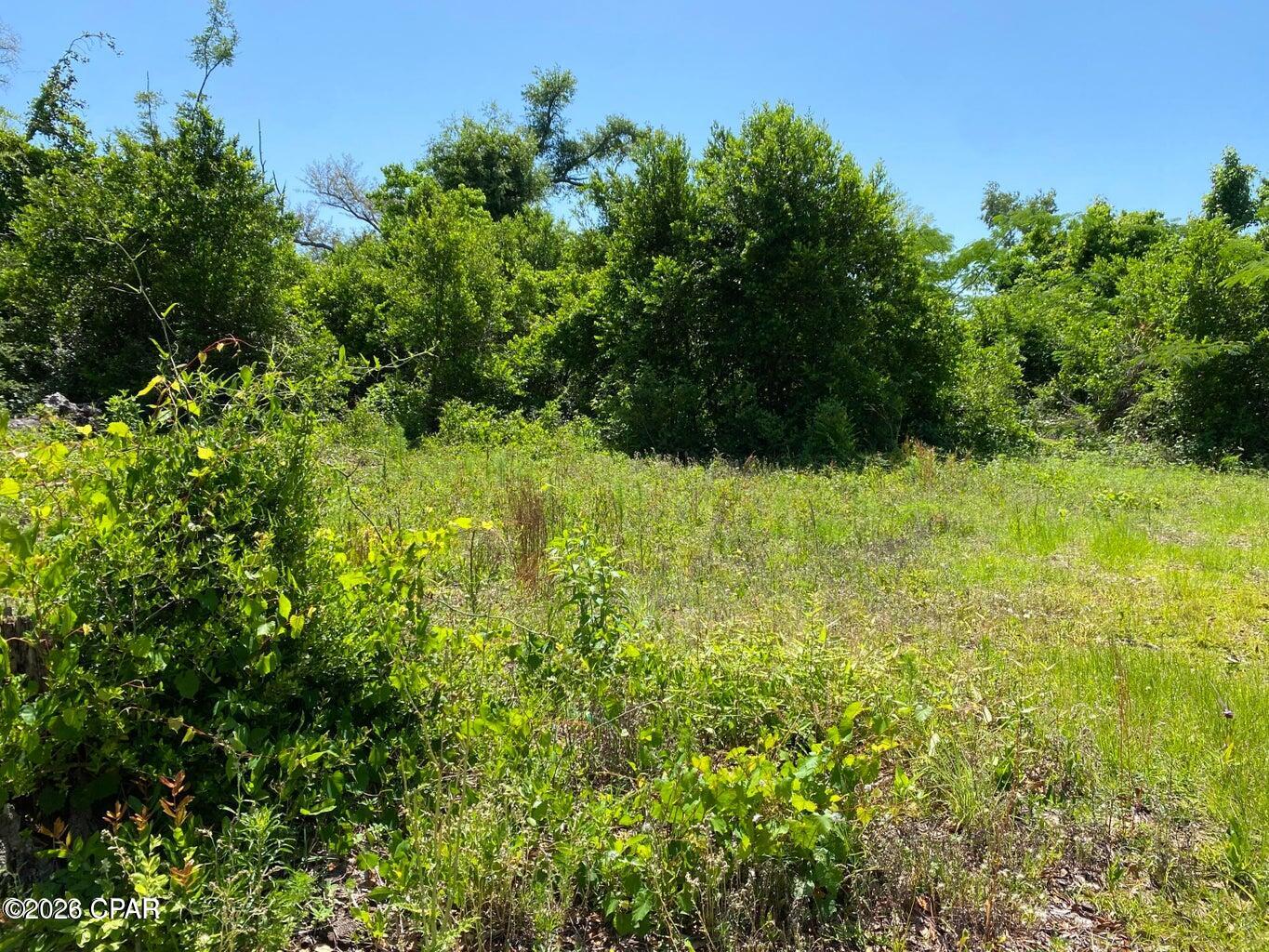 9523 Indian Bluff Resort Lane