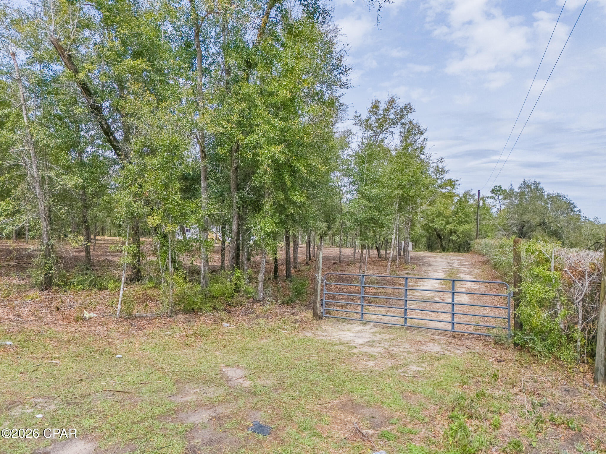 7067 Campflowers Road