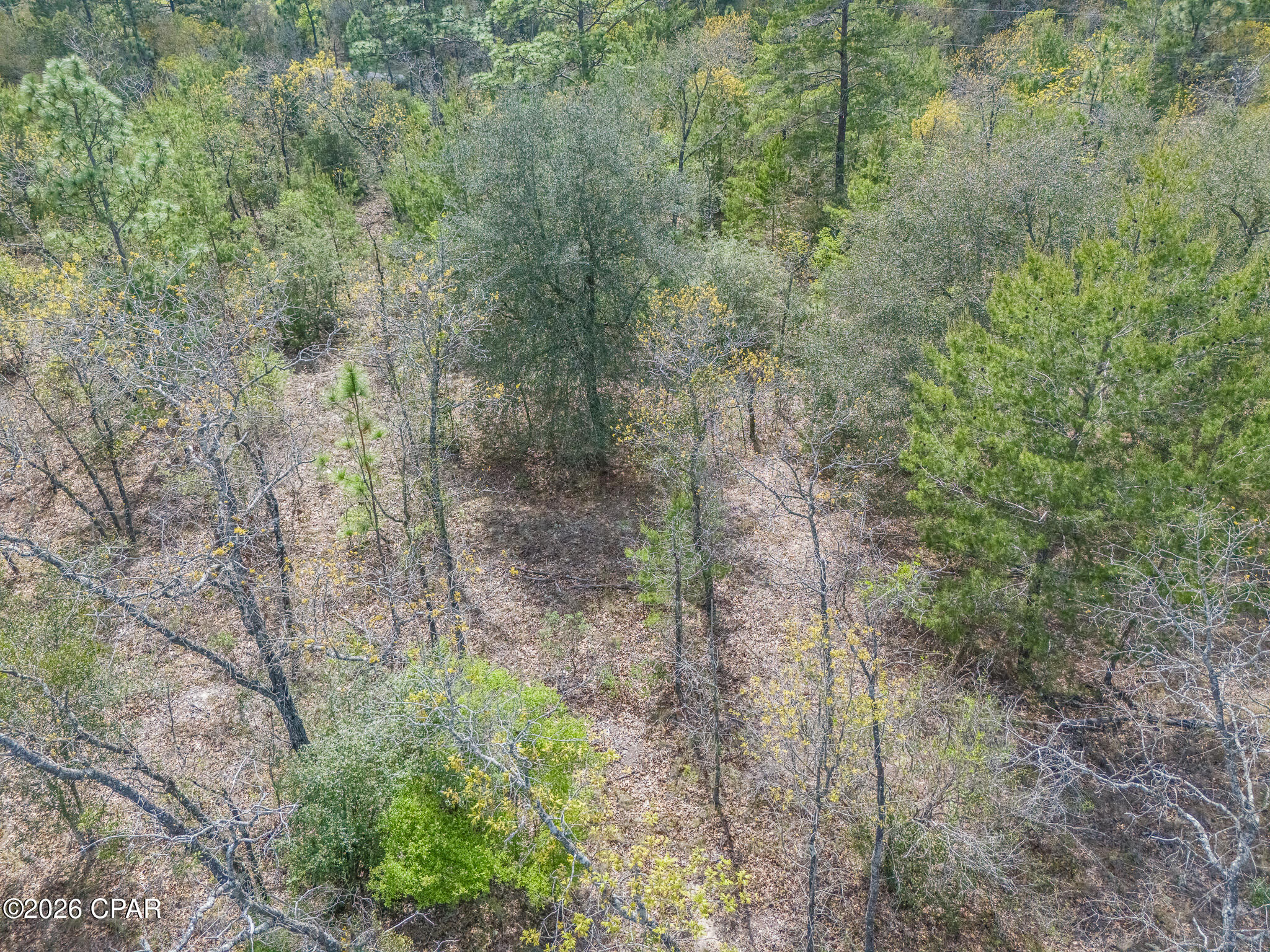 Lot 2 Esmont Avenue