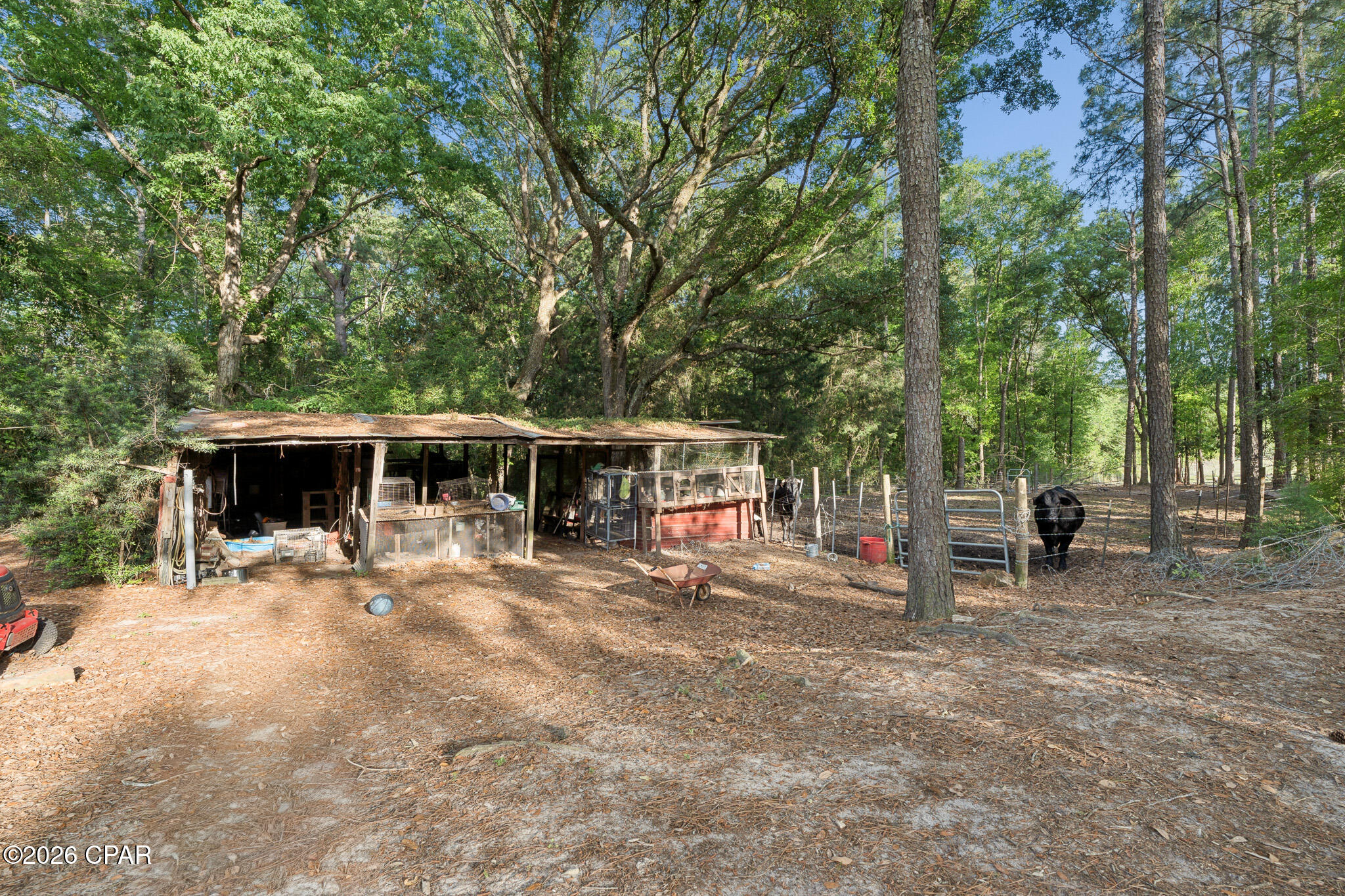 1443 Bradley Lane