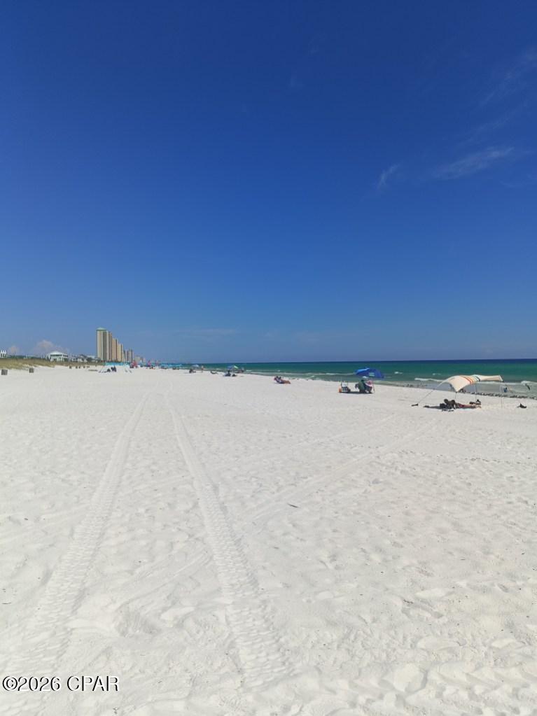 215 Palmetto Place