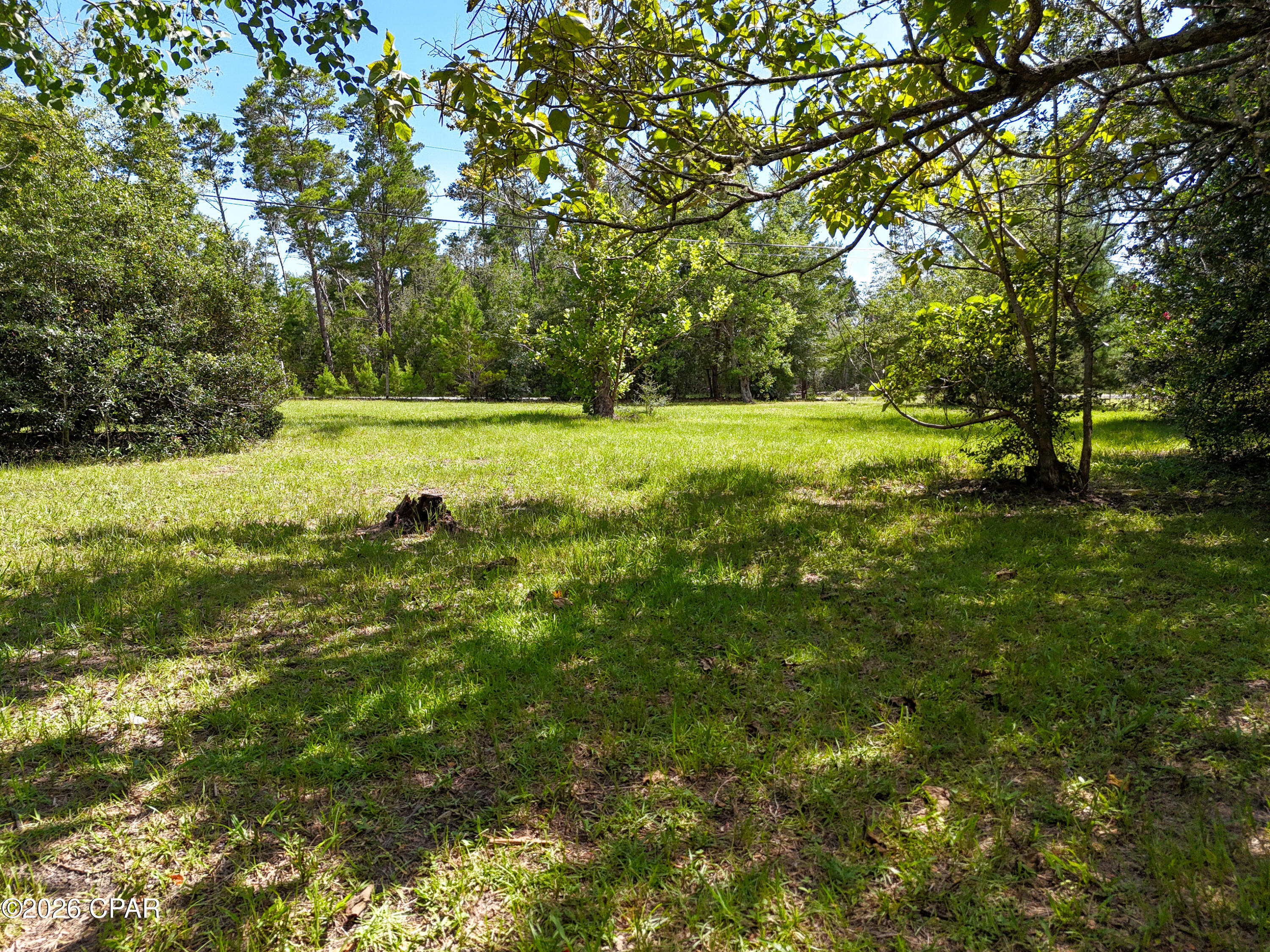 11830 Raccoon Road