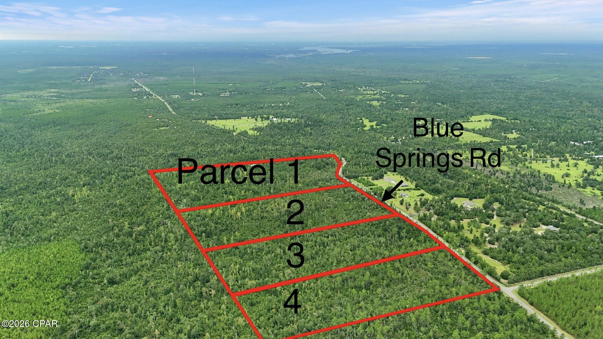 020 Blue Springs Road Parcel 3