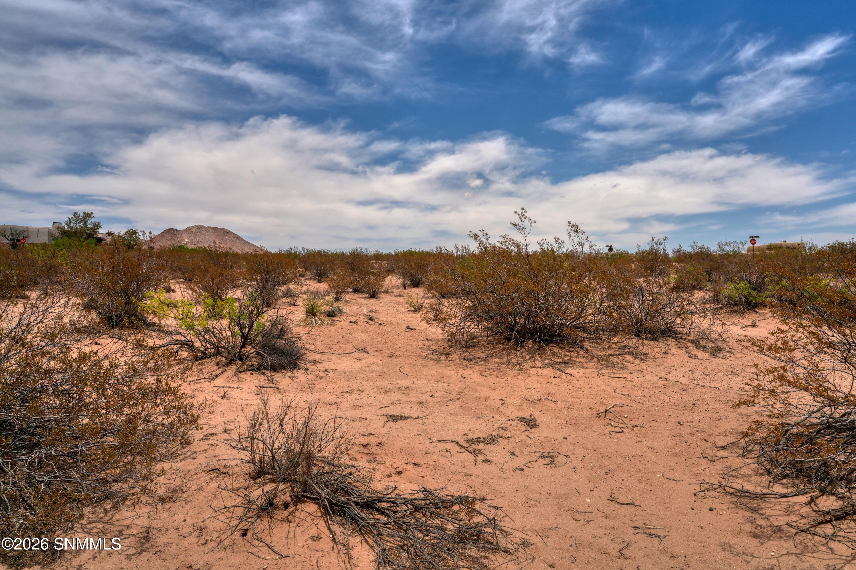 1301 Estancia Real Road