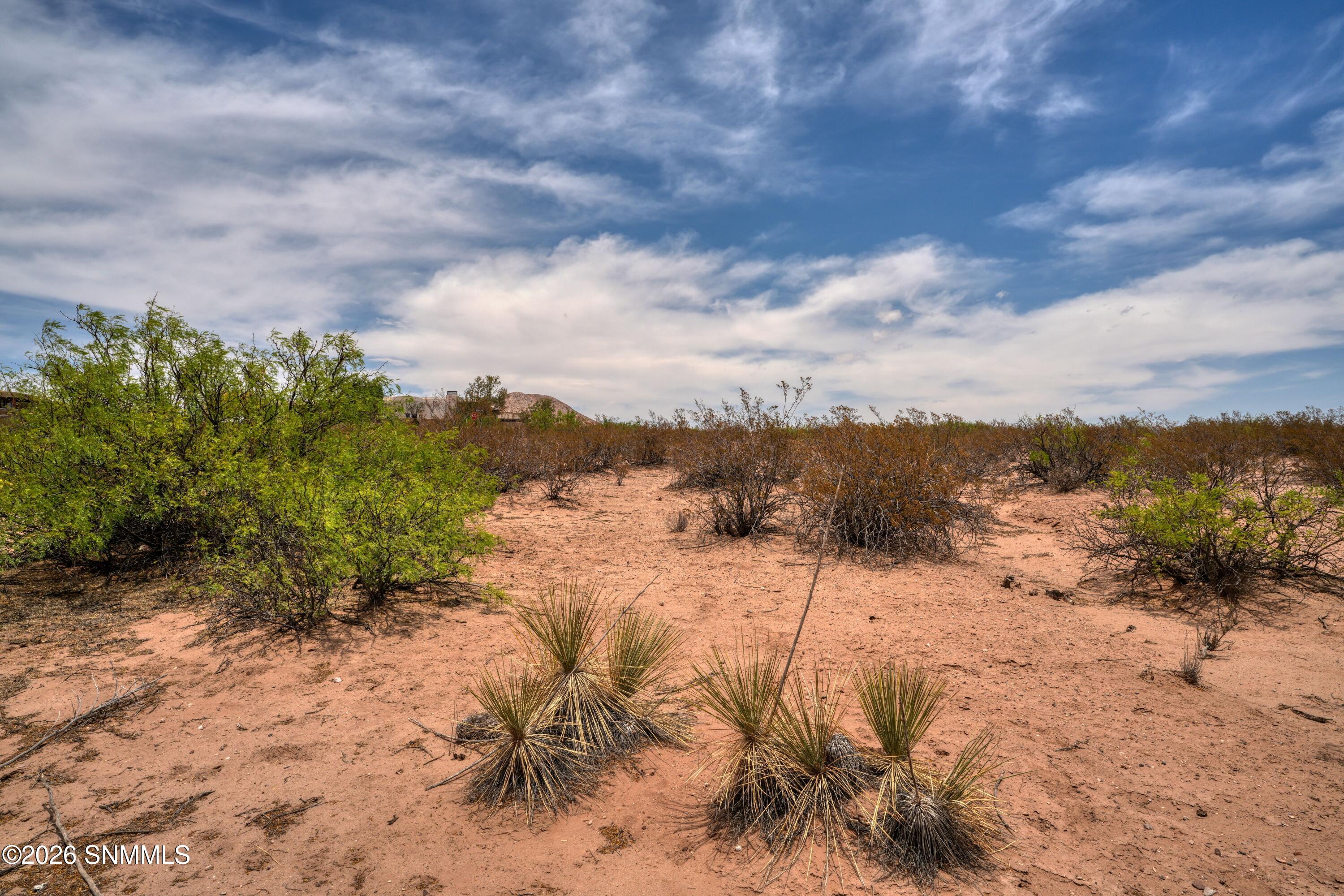 1301 Estancia Real Road