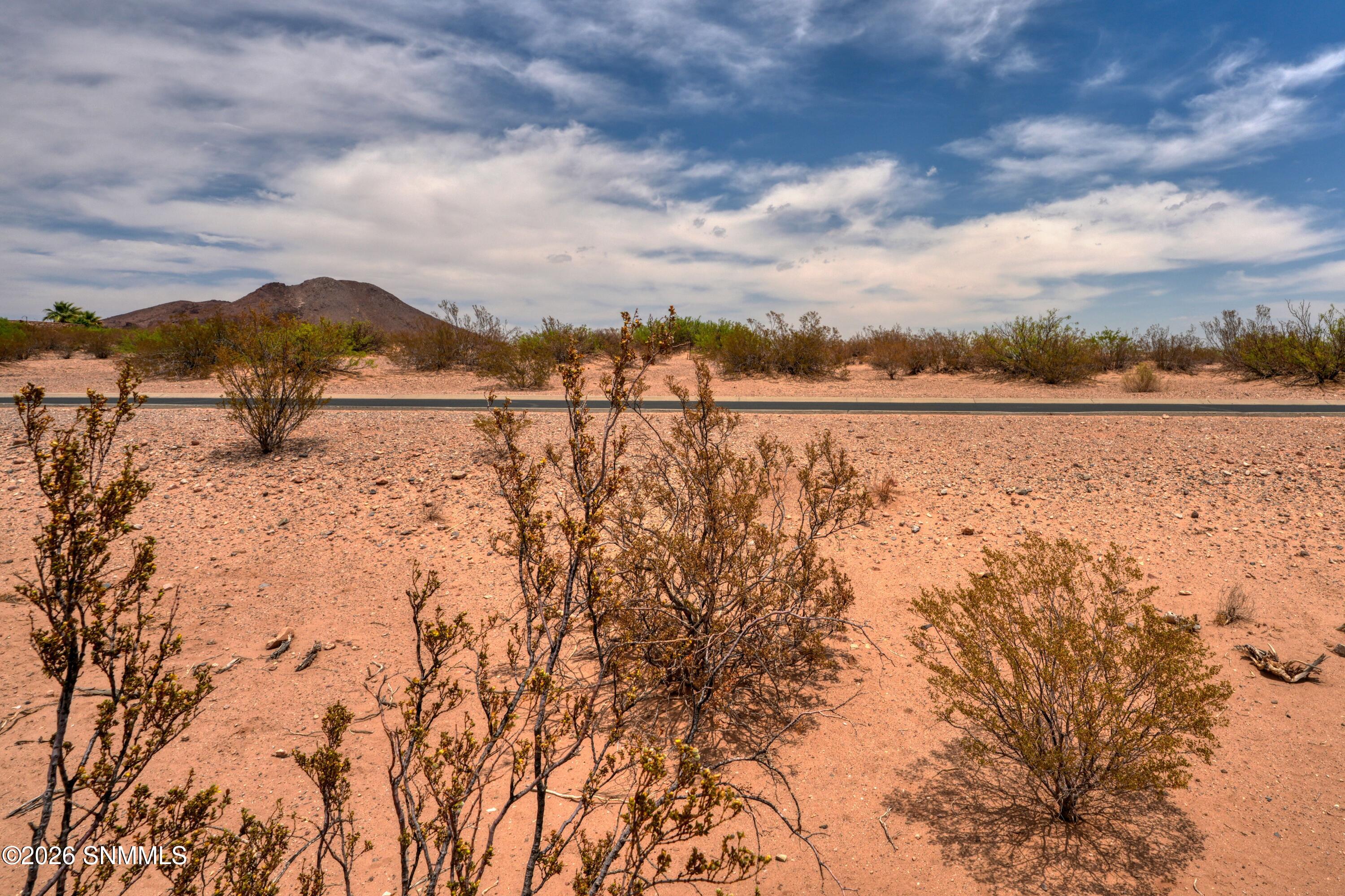1301 Estancia Real Road