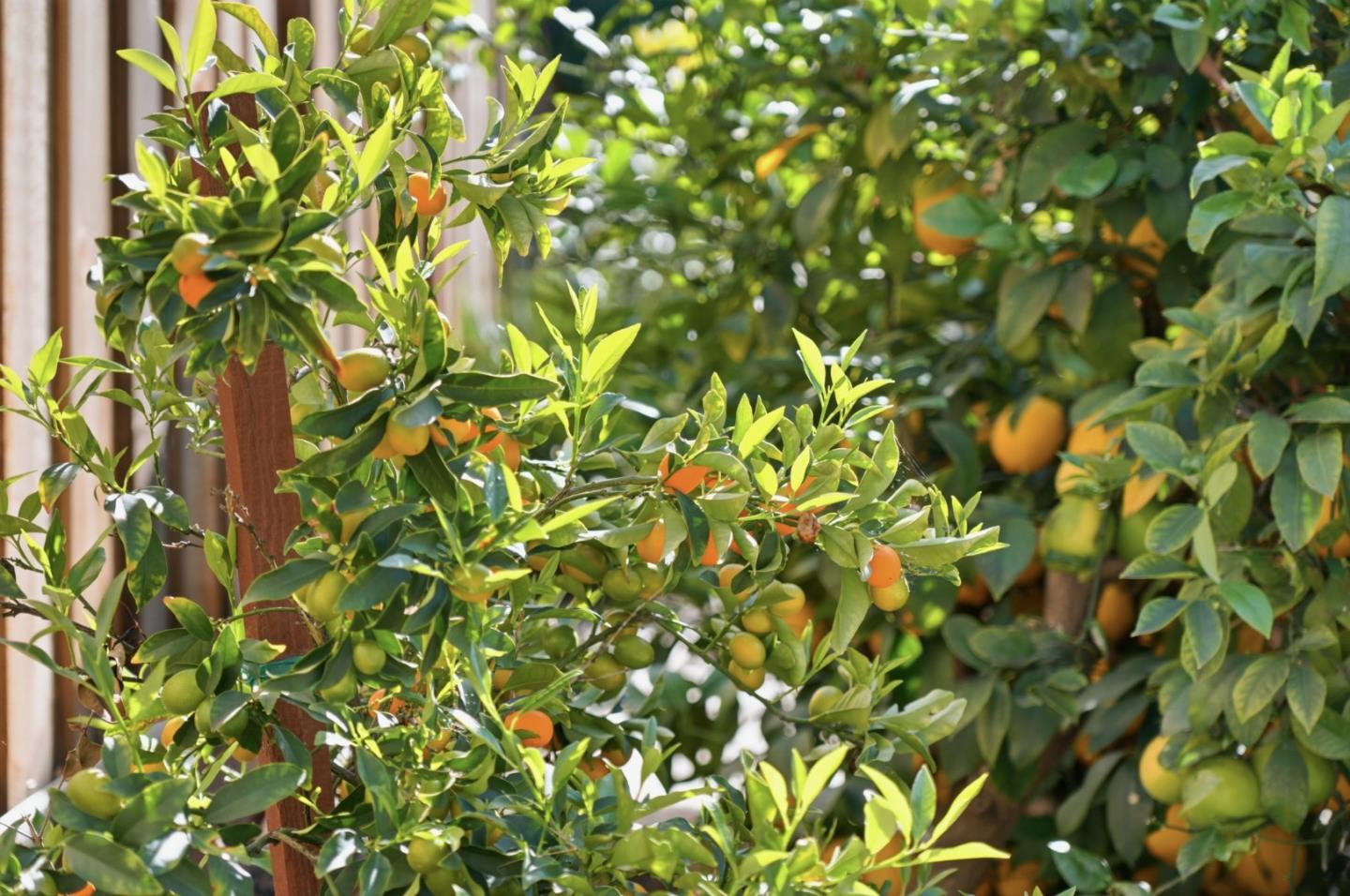 5315 Calderwood Lane