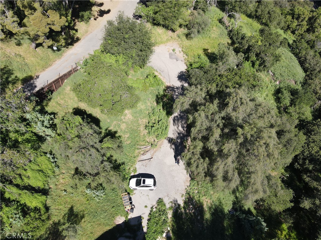 12211 Forest Trail