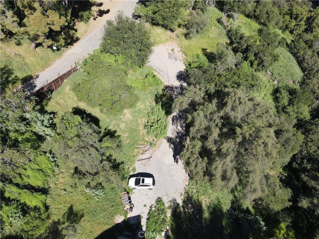 12211 Forest Trail