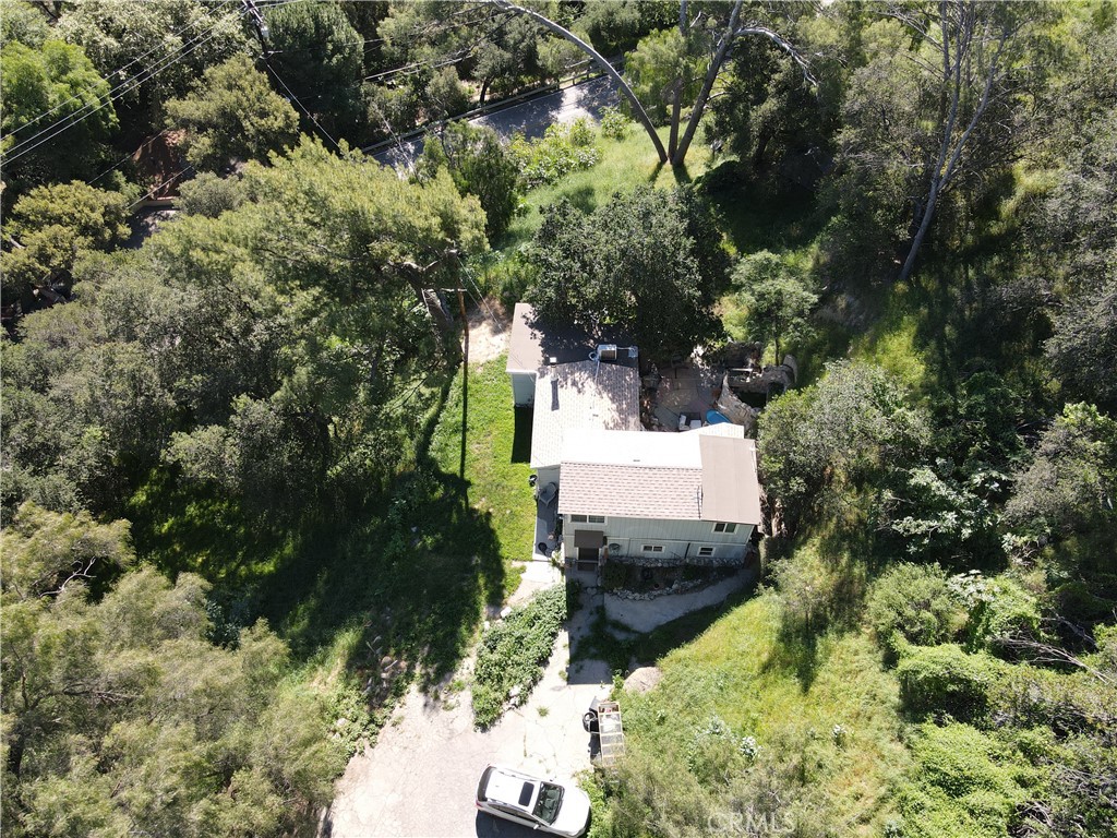 12211 Forest Trail