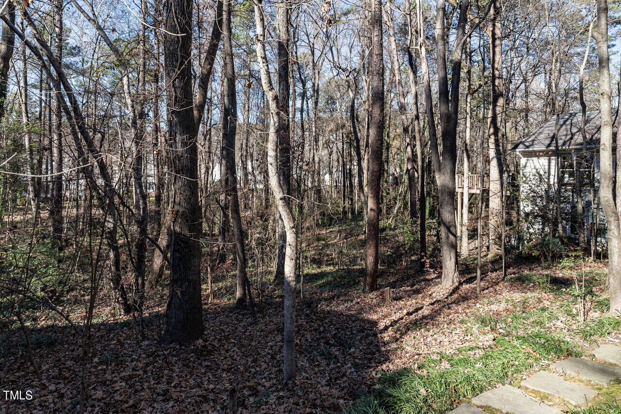 1209 Selwyn Lane
