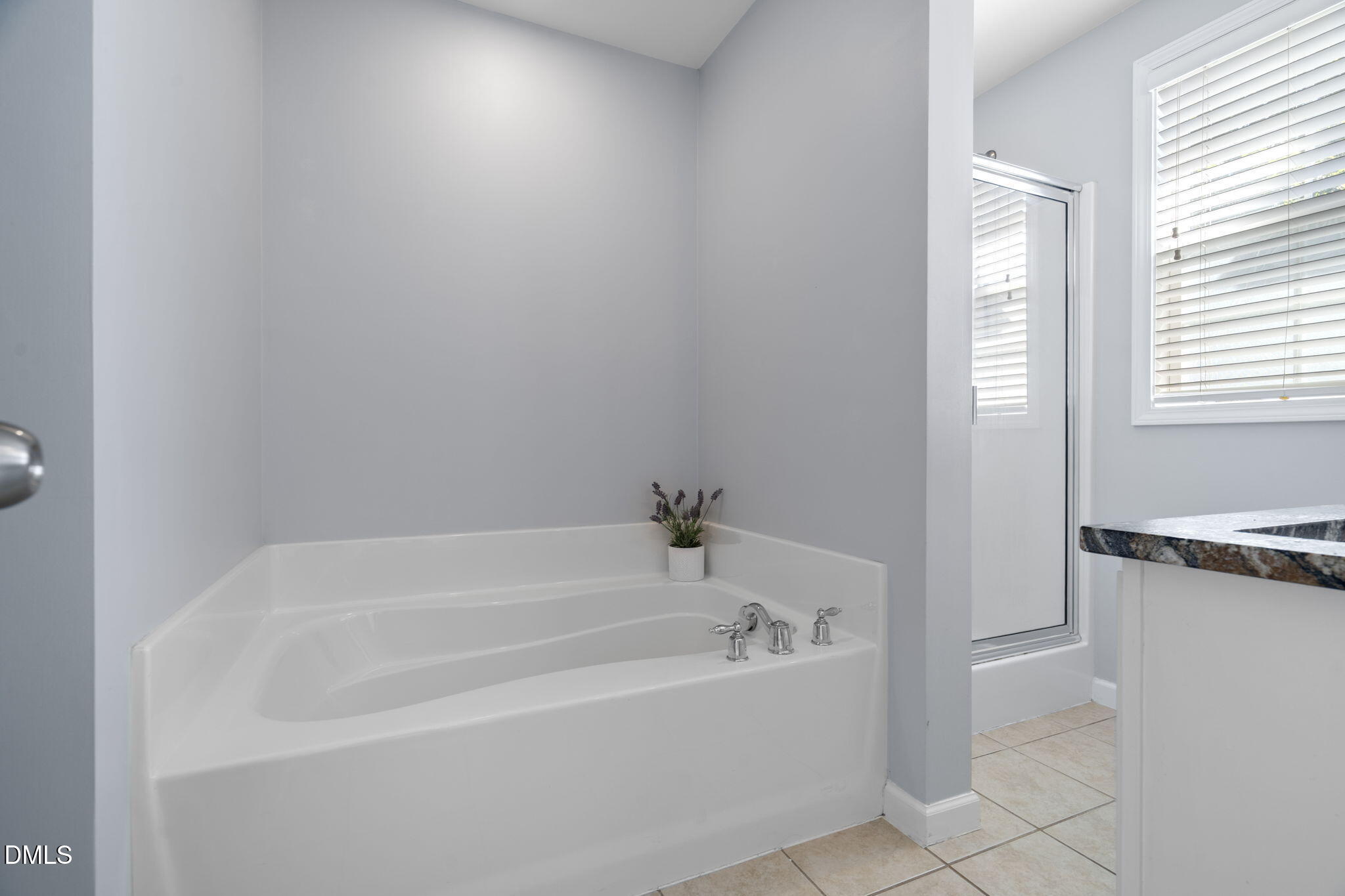 102 Jamison Woods Lane