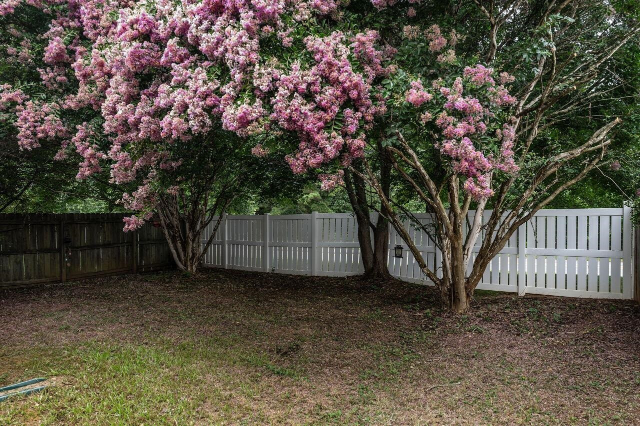 5320 Roan Mountain Place