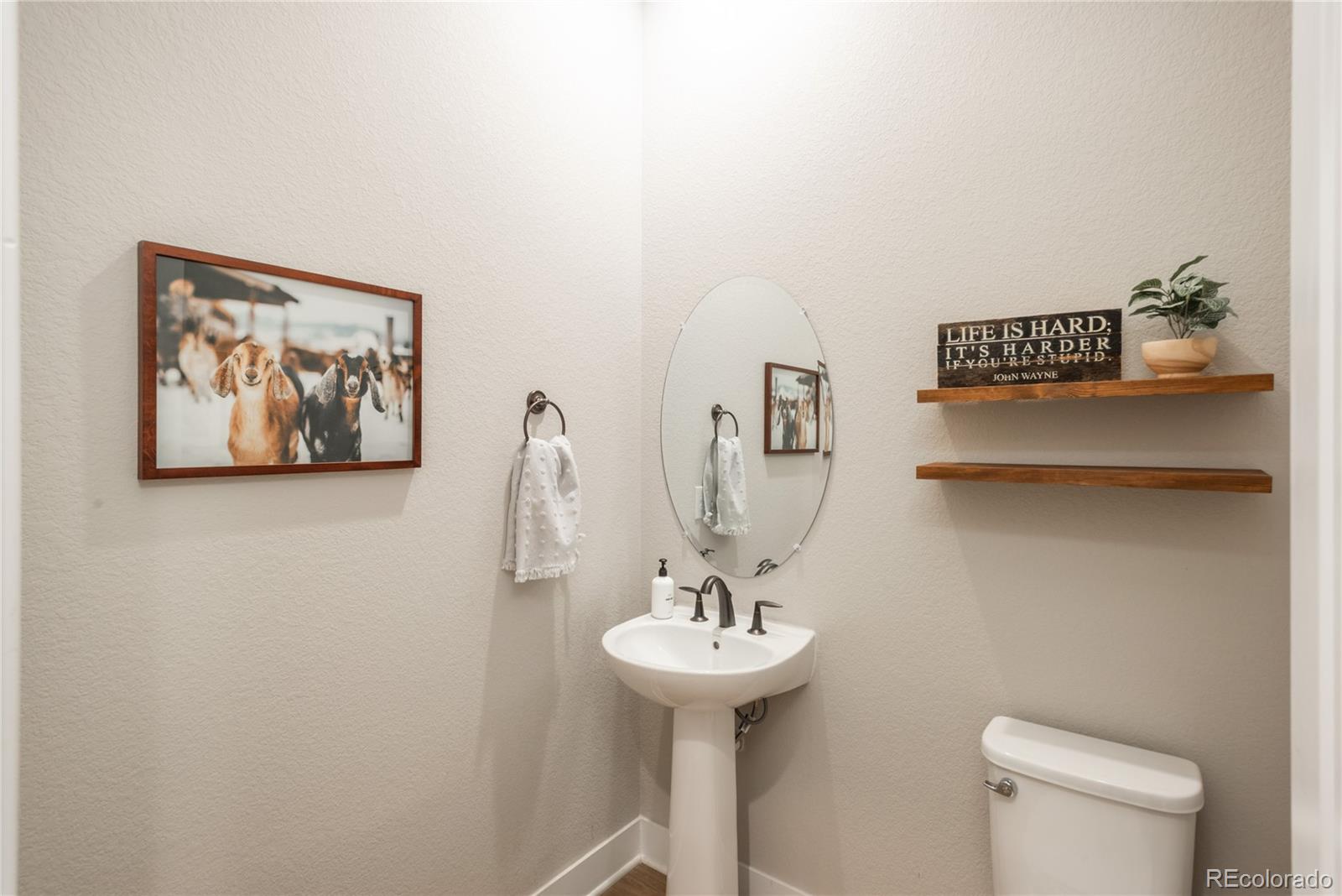 5665 Shadescale Way