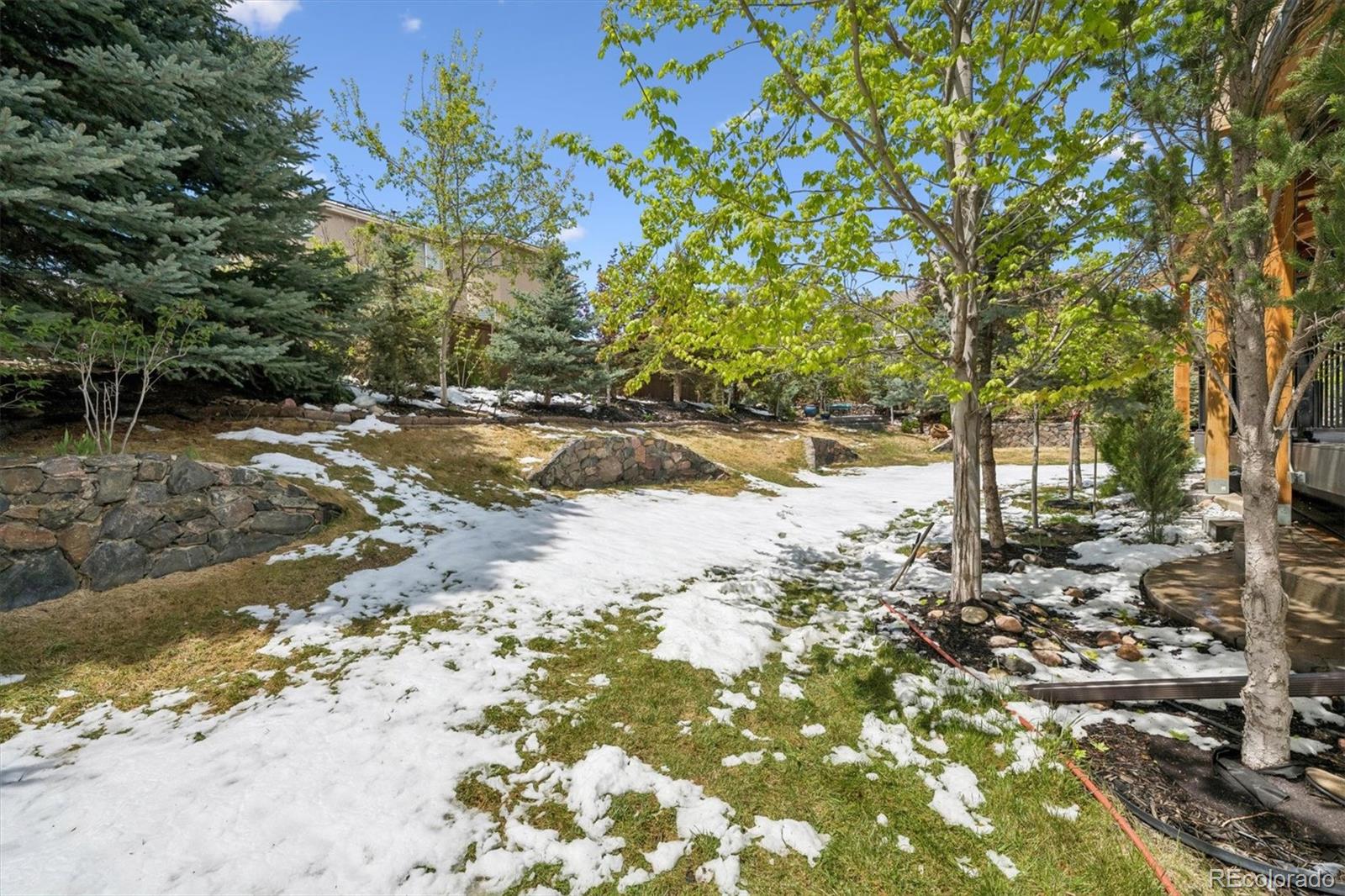 10137 Charissglen Lane