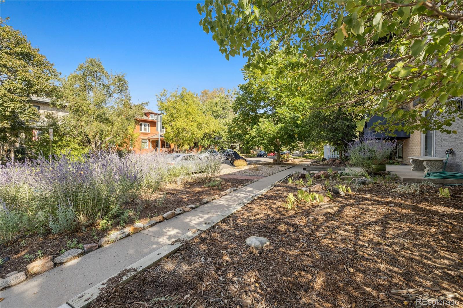 200 N Sherman Street Unit: 7