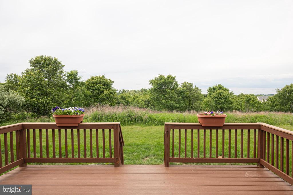 1053 ALMOND DRIVE 3