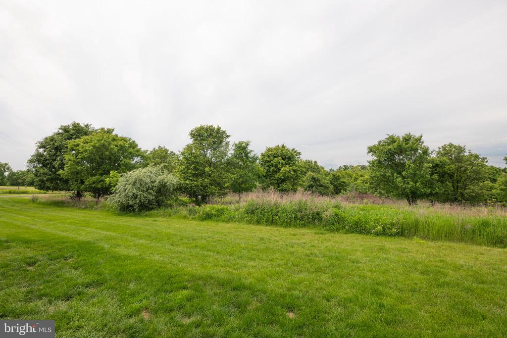 1053 ALMOND DRIVE 3