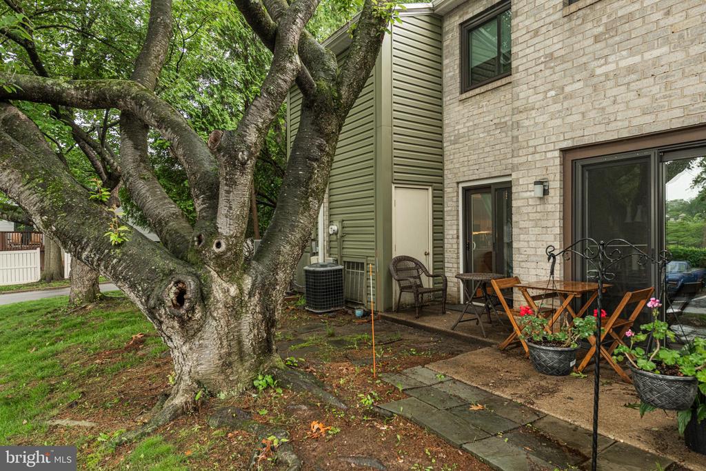 202 VALLEY DRIVE 202