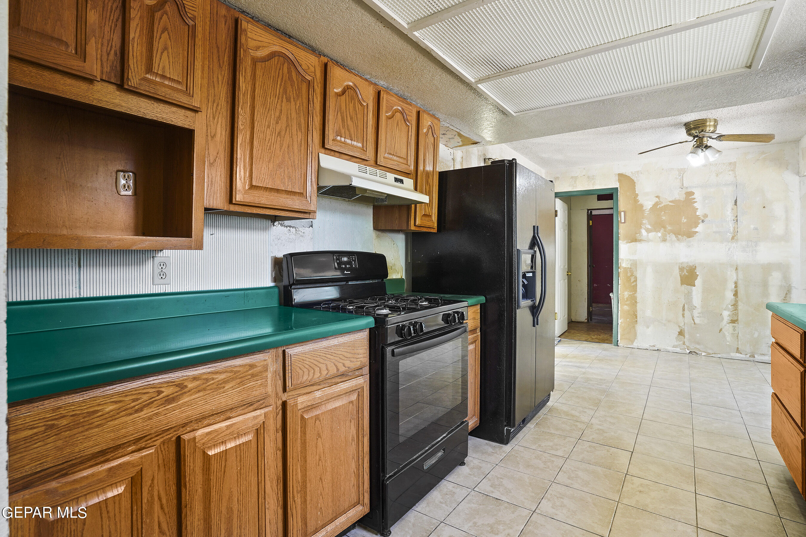 3133 Fierro Drive