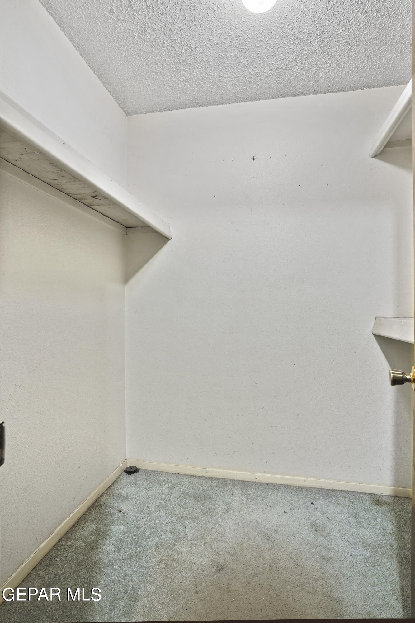 3133 Fierro Drive