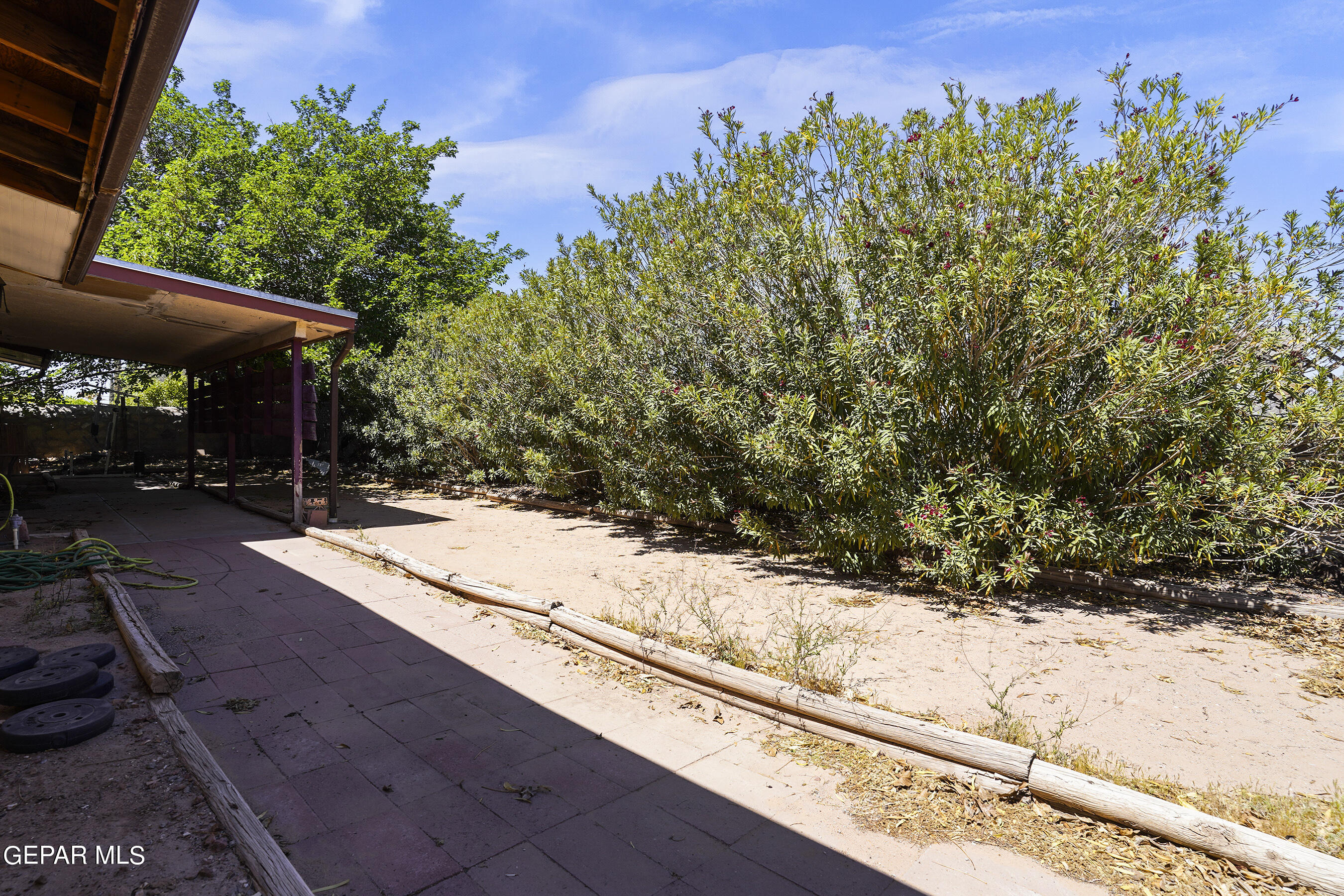3133 Fierro Drive