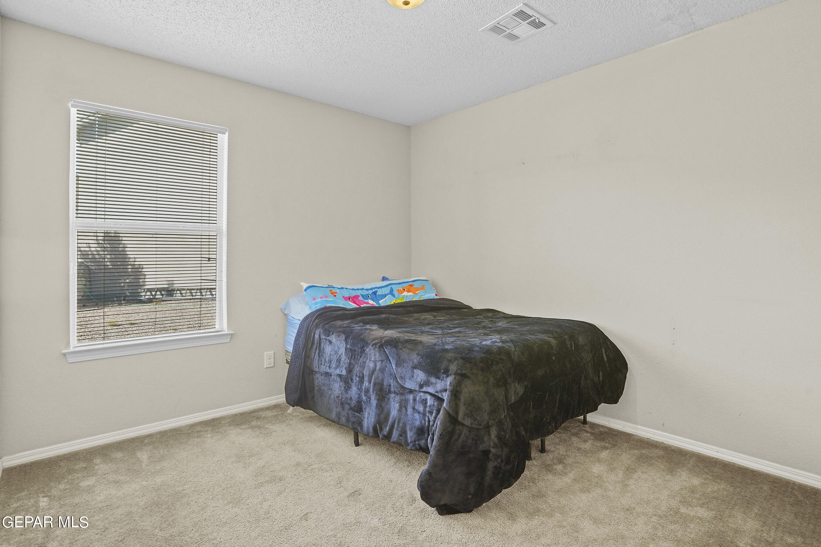 12001 Copper Head Lane