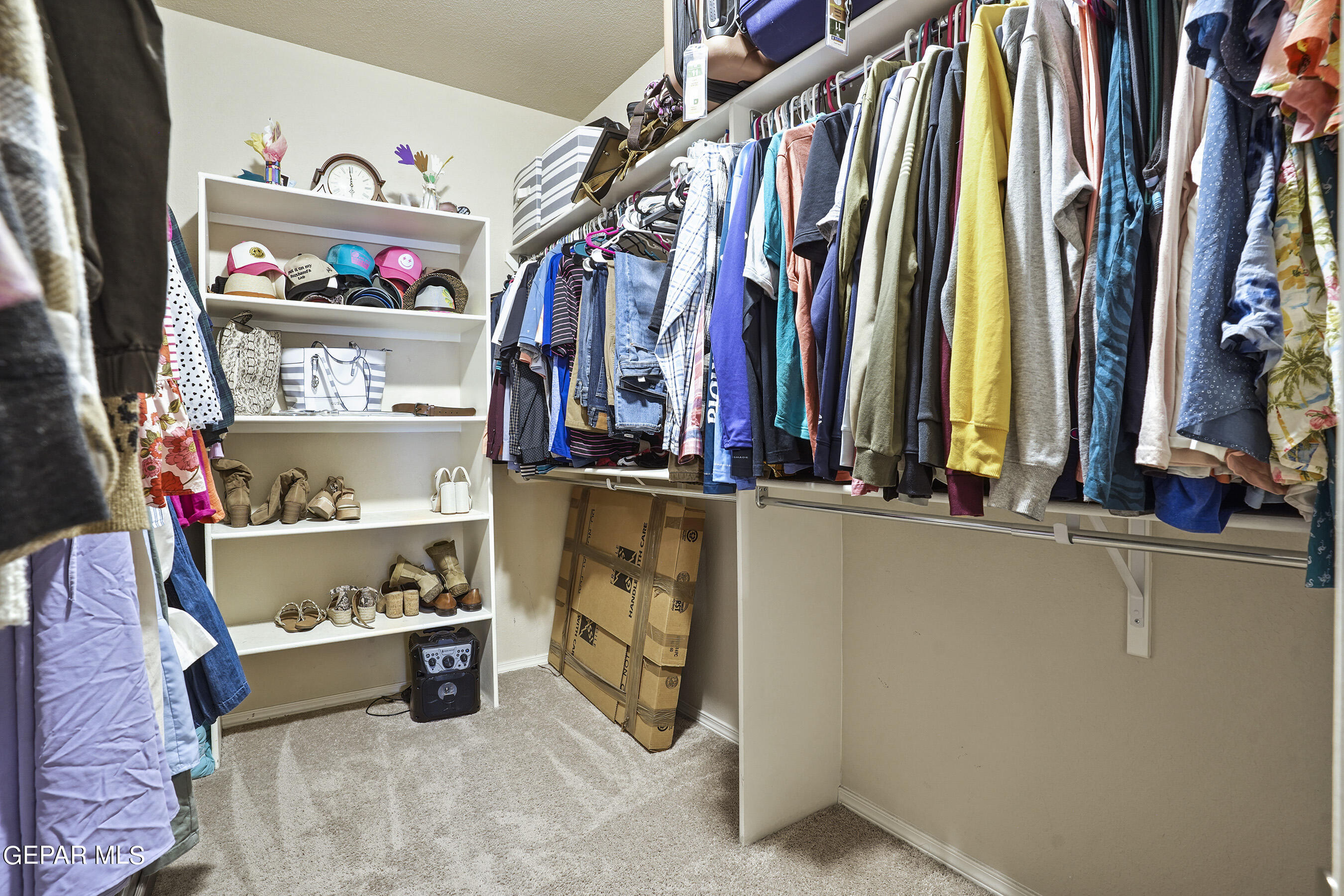 2042 BLUFF CREEK Street