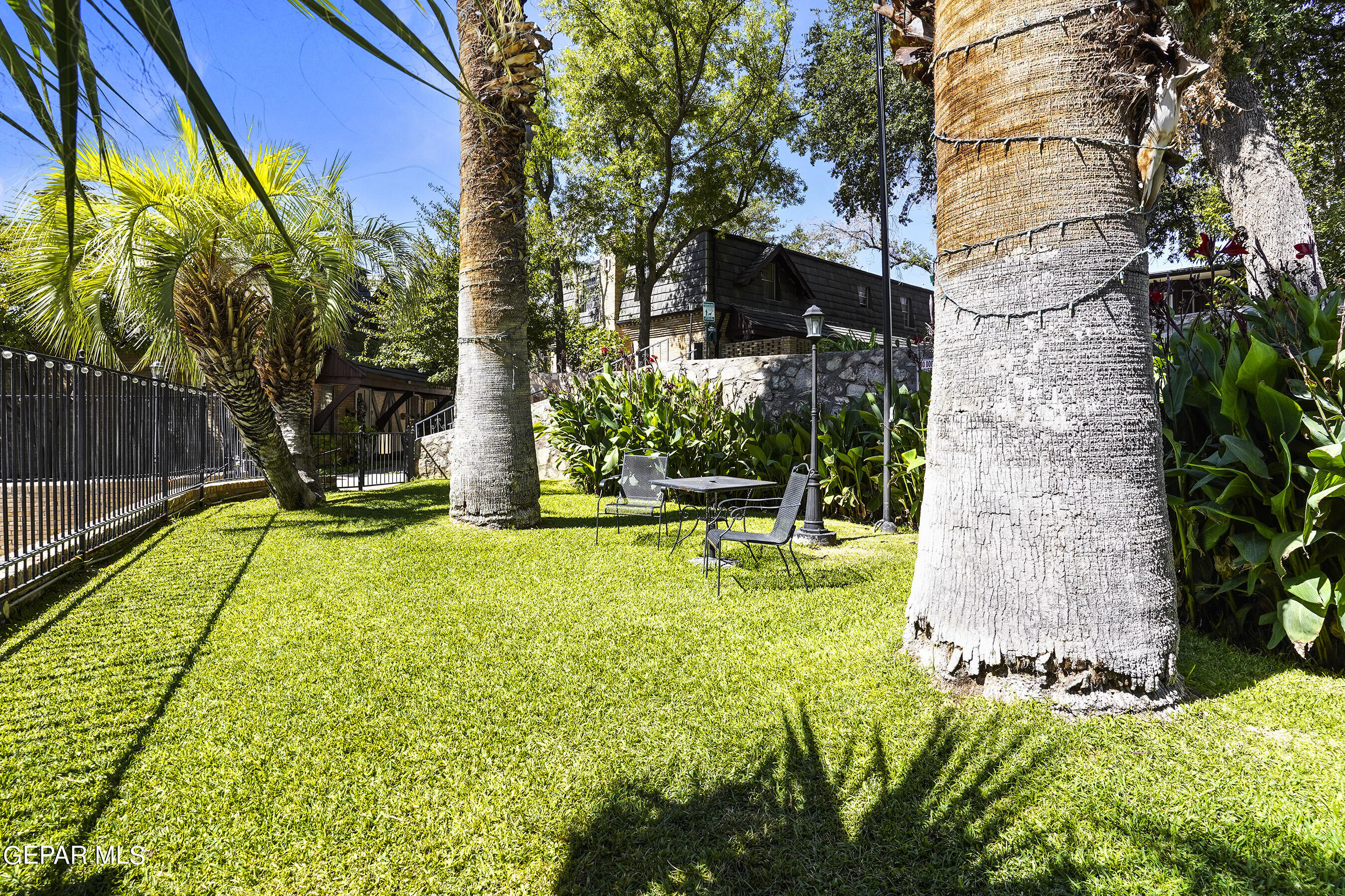 350 THUNDERBIRD Drive, 24