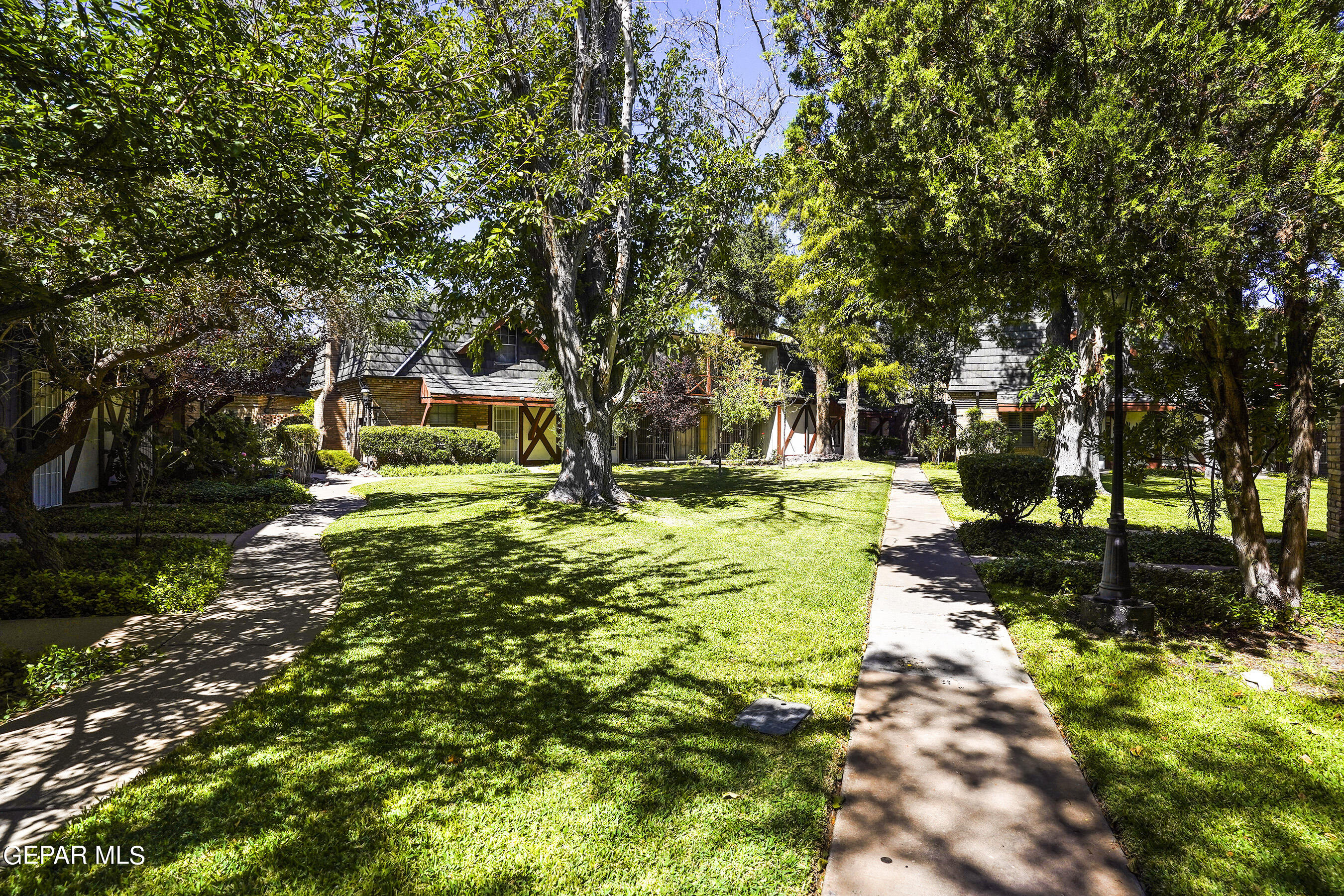 350 THUNDERBIRD Drive, 24