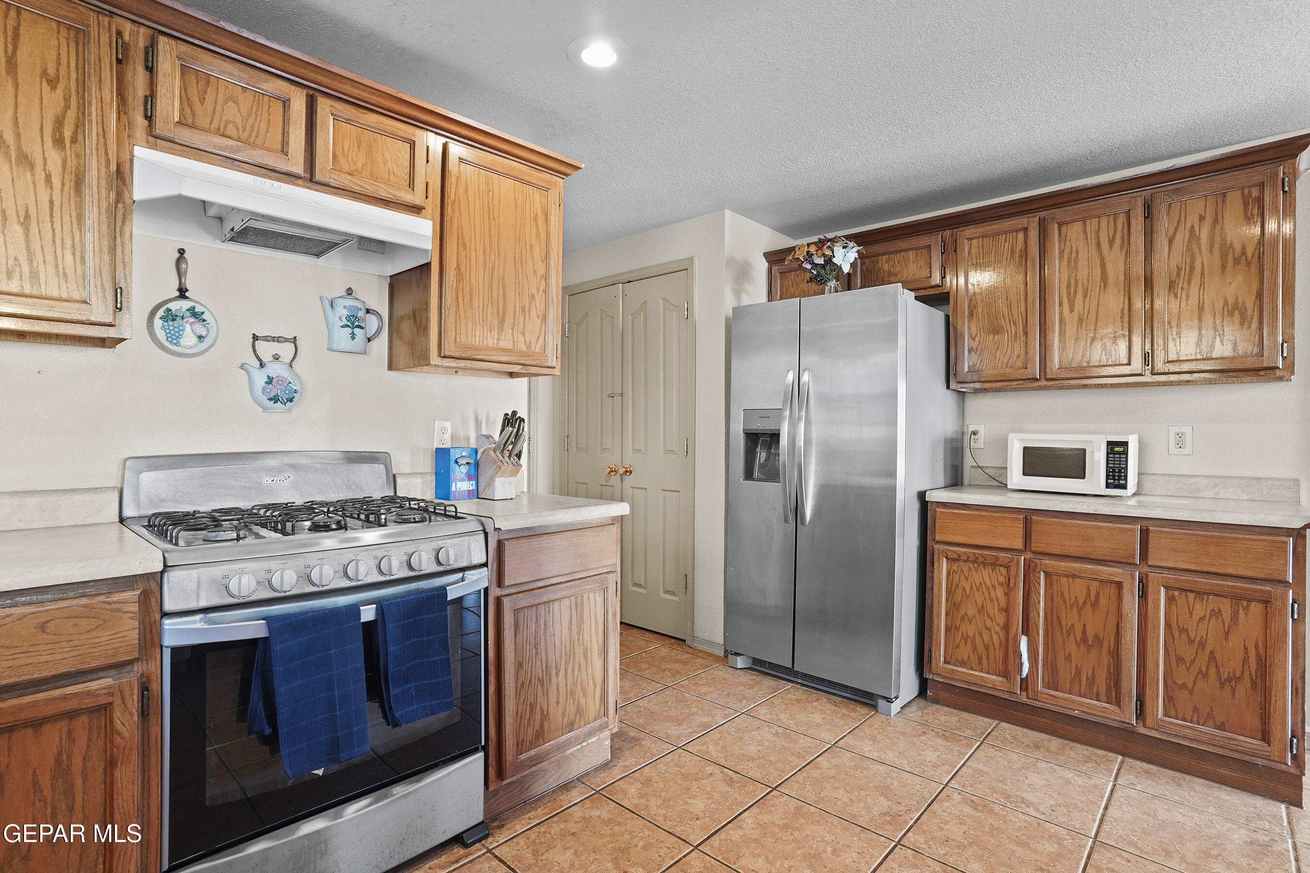 12856 TIERRA AYALA Drive