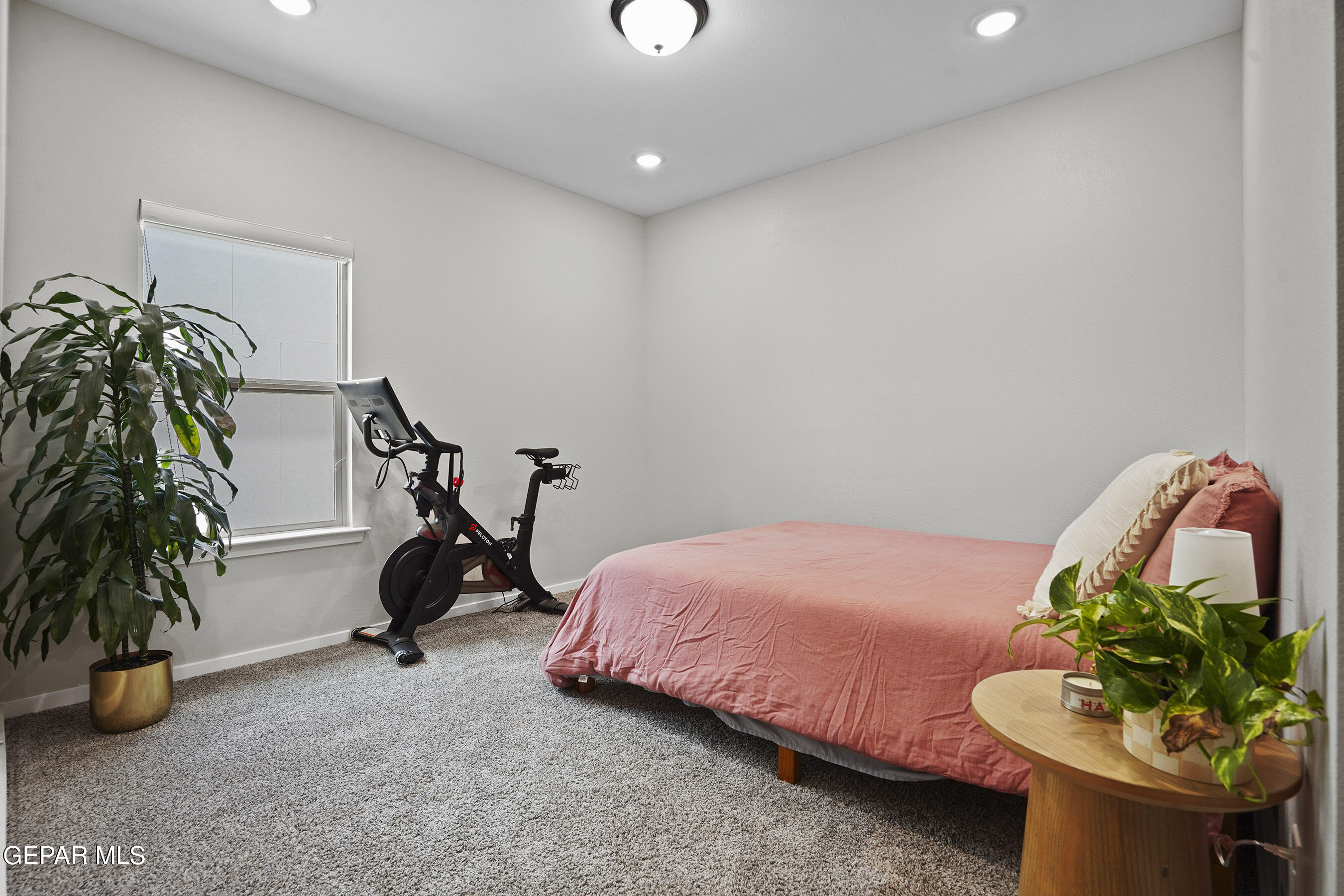 2308 ENCHANTED QUAIL