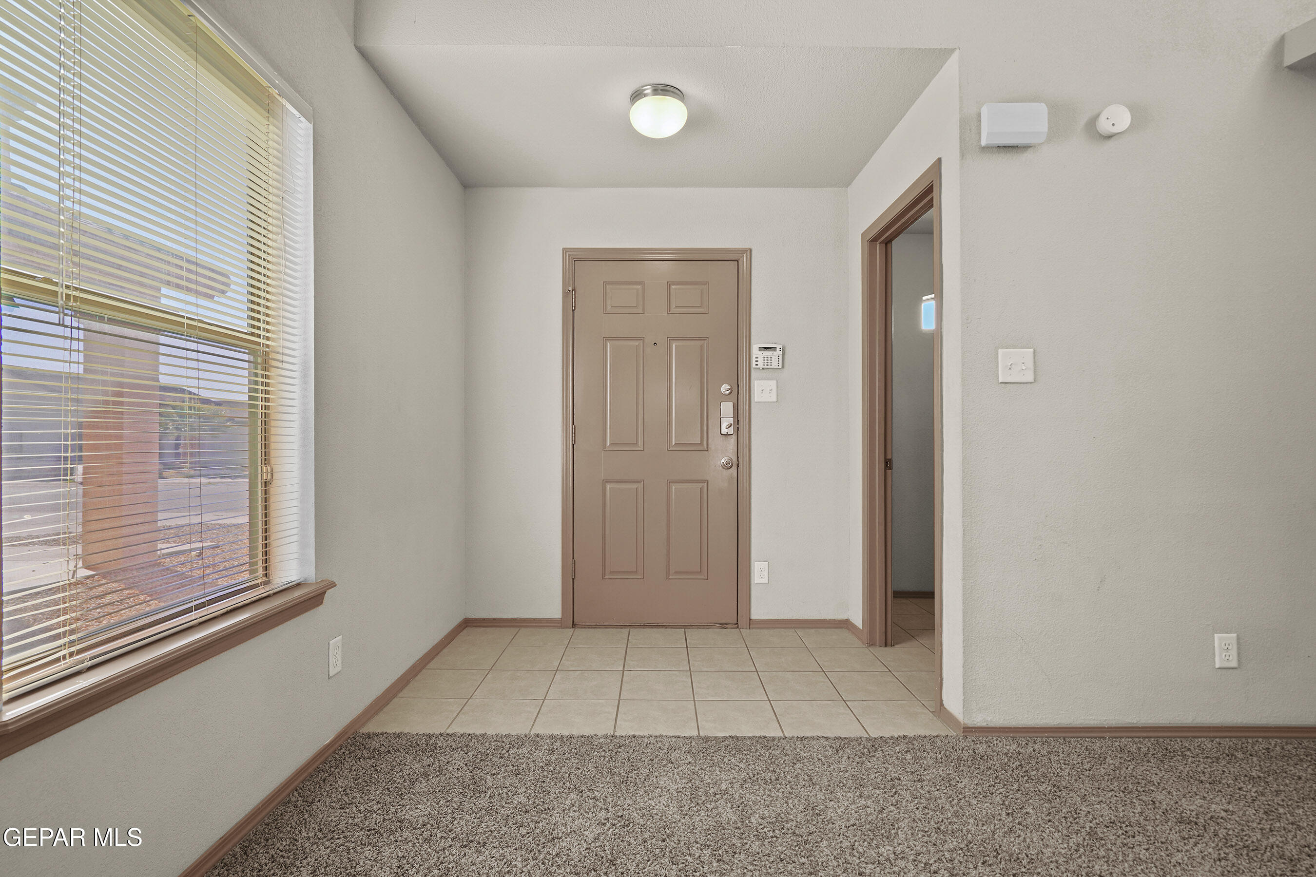 14233 RANIER POINT Drive