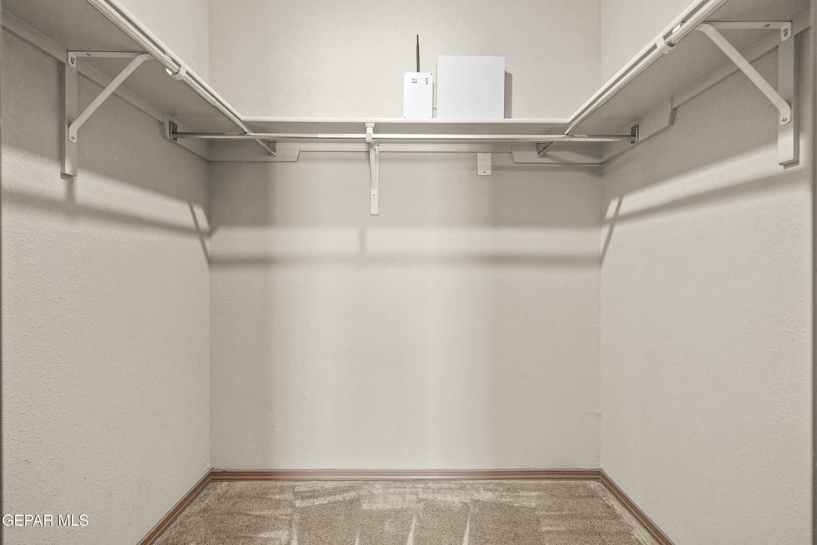 14233 RANIER POINT Drive