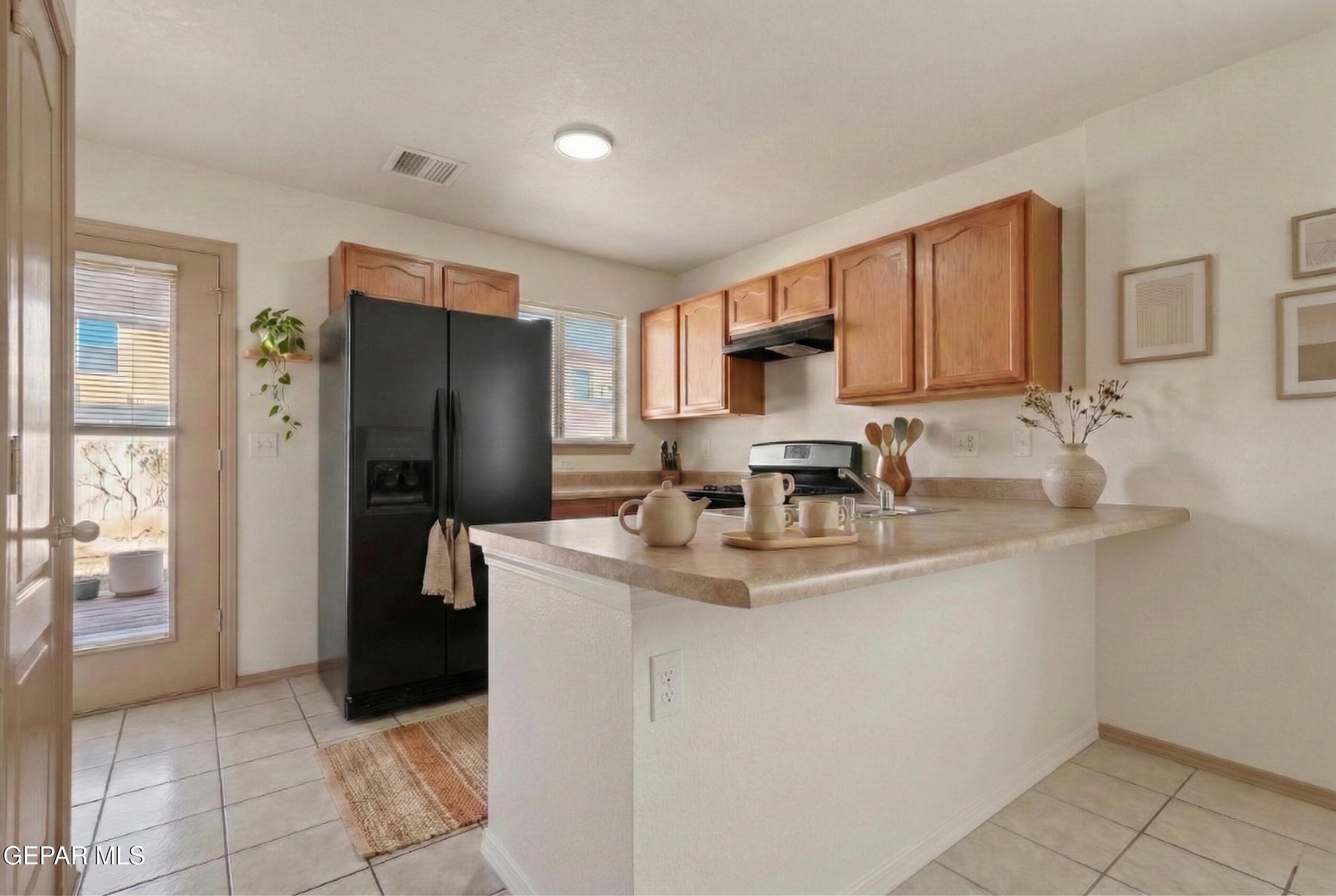 14233 RANIER POINT Drive