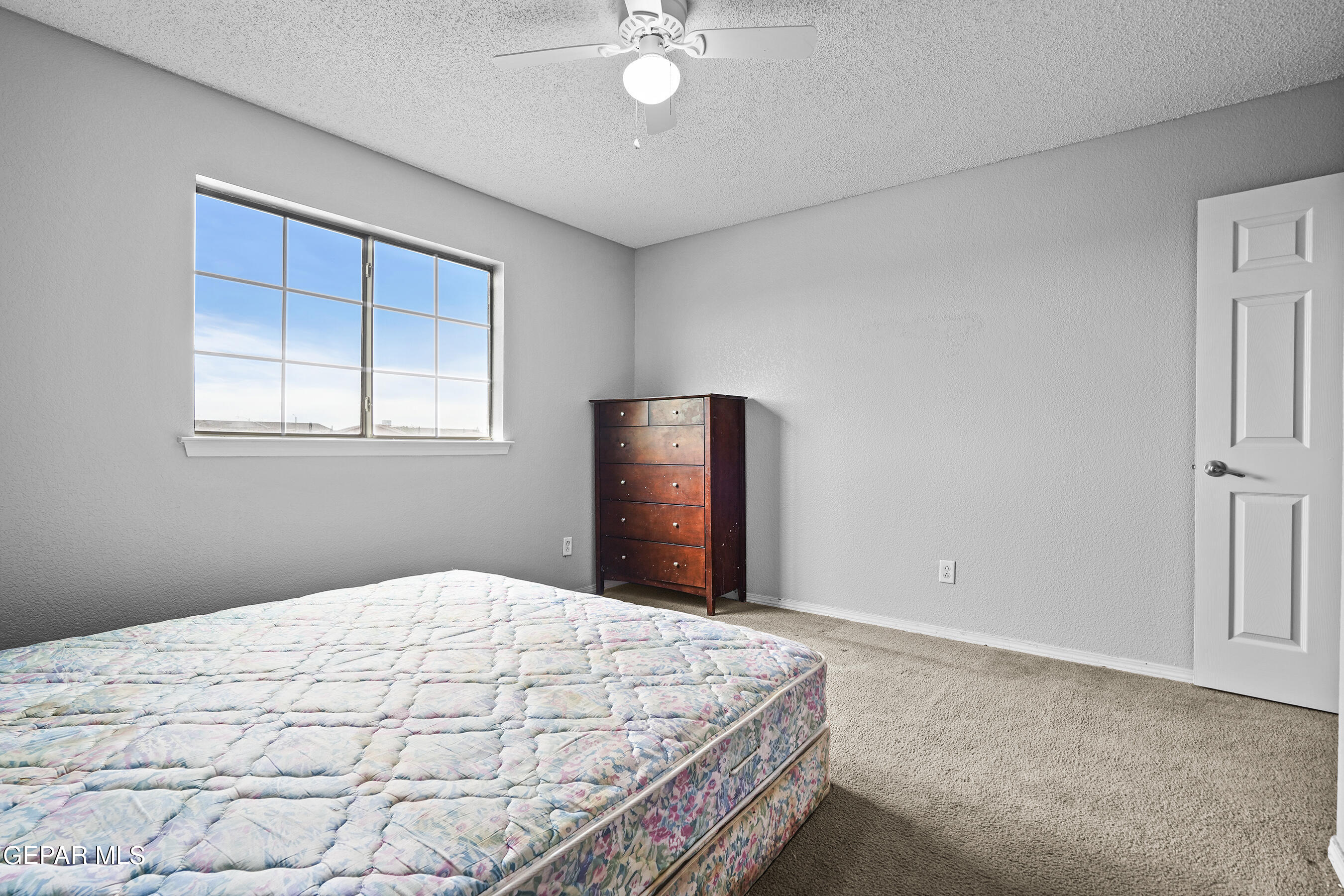 11637 Mocha Dune Drive