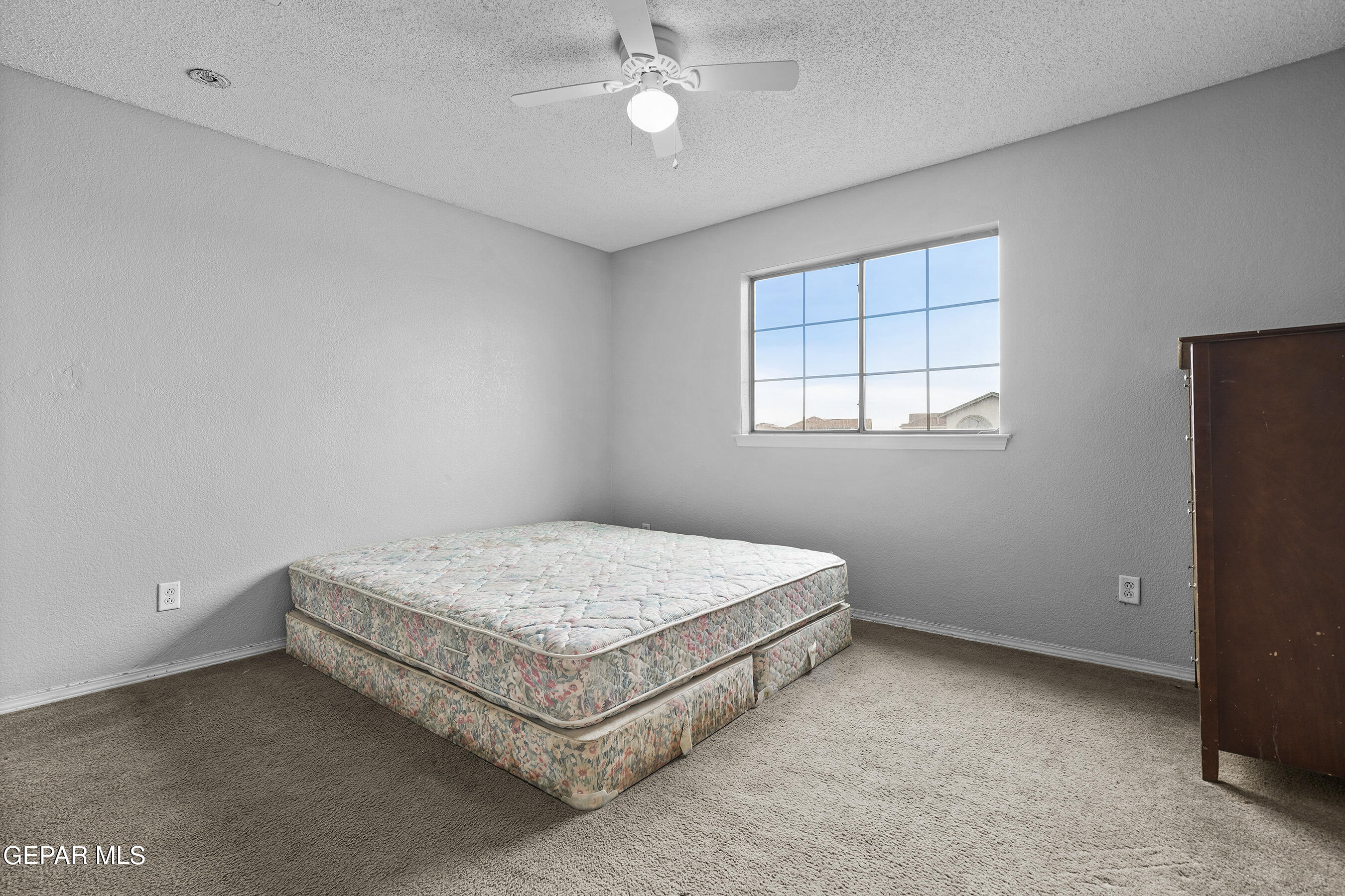 11637 Mocha Dune Drive