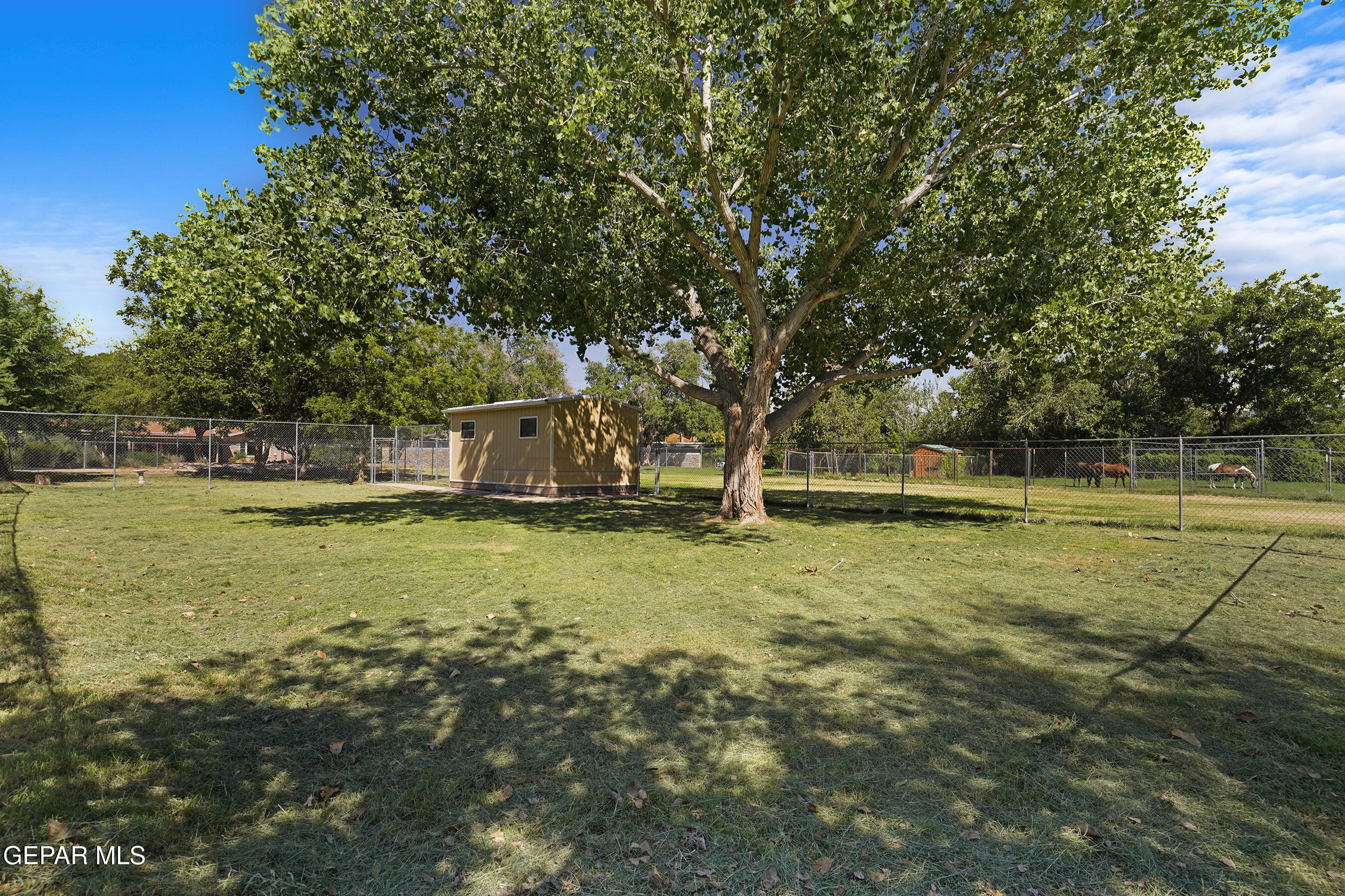 4279 BOY SCOUT Lane