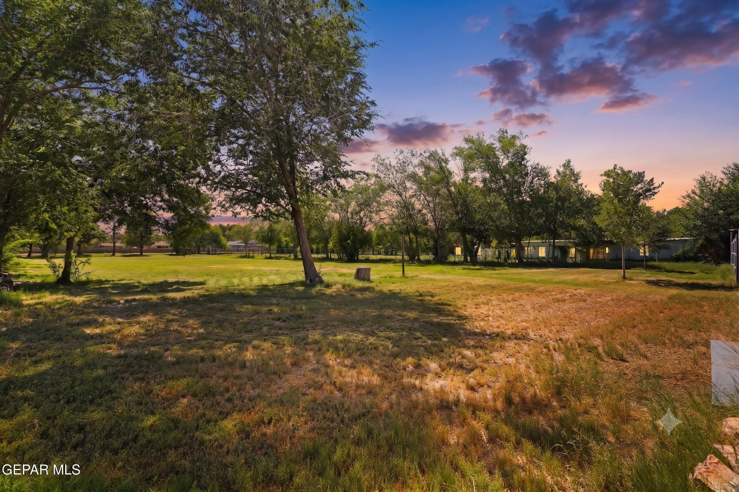 4279 BOY SCOUT Lane