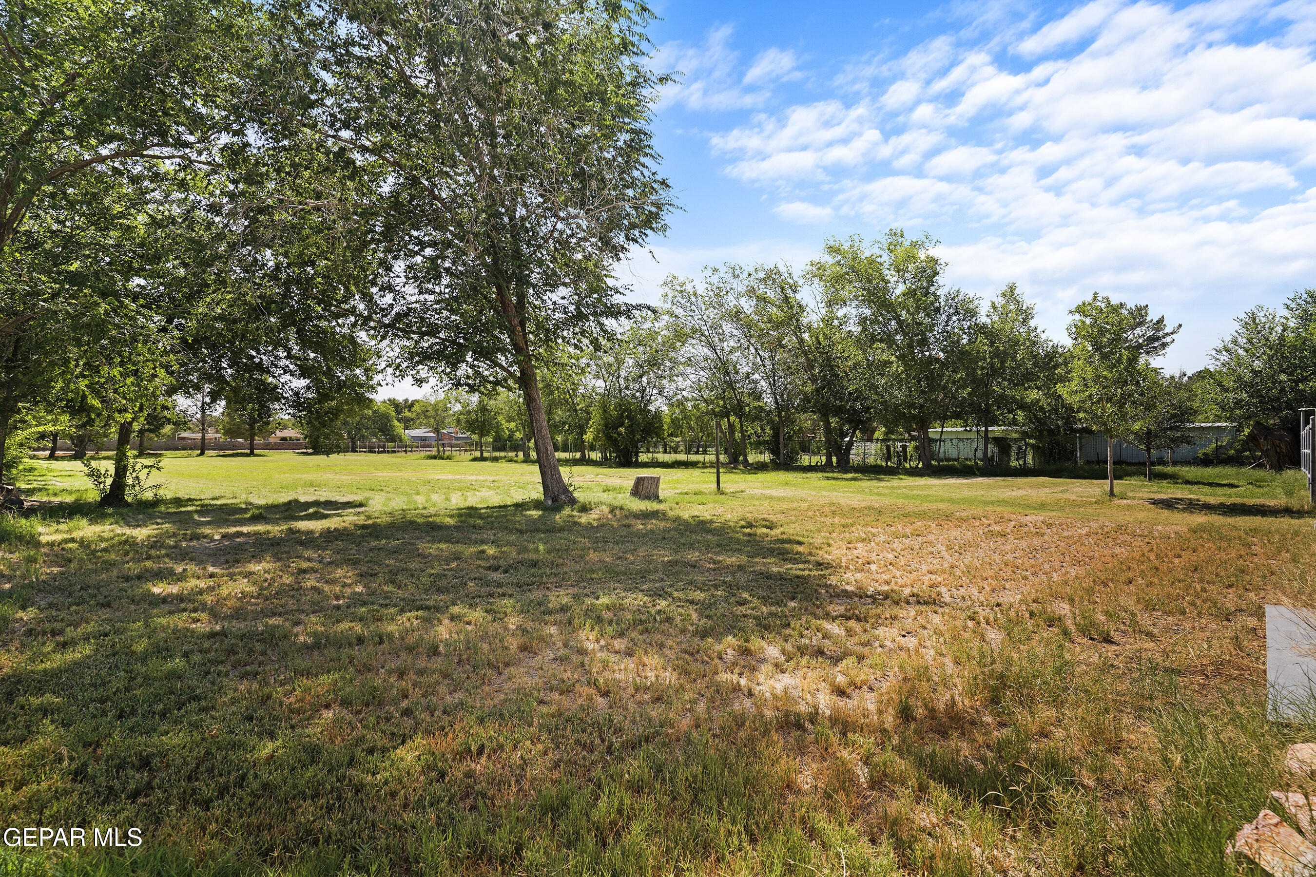 4279 BOY SCOUT Lane