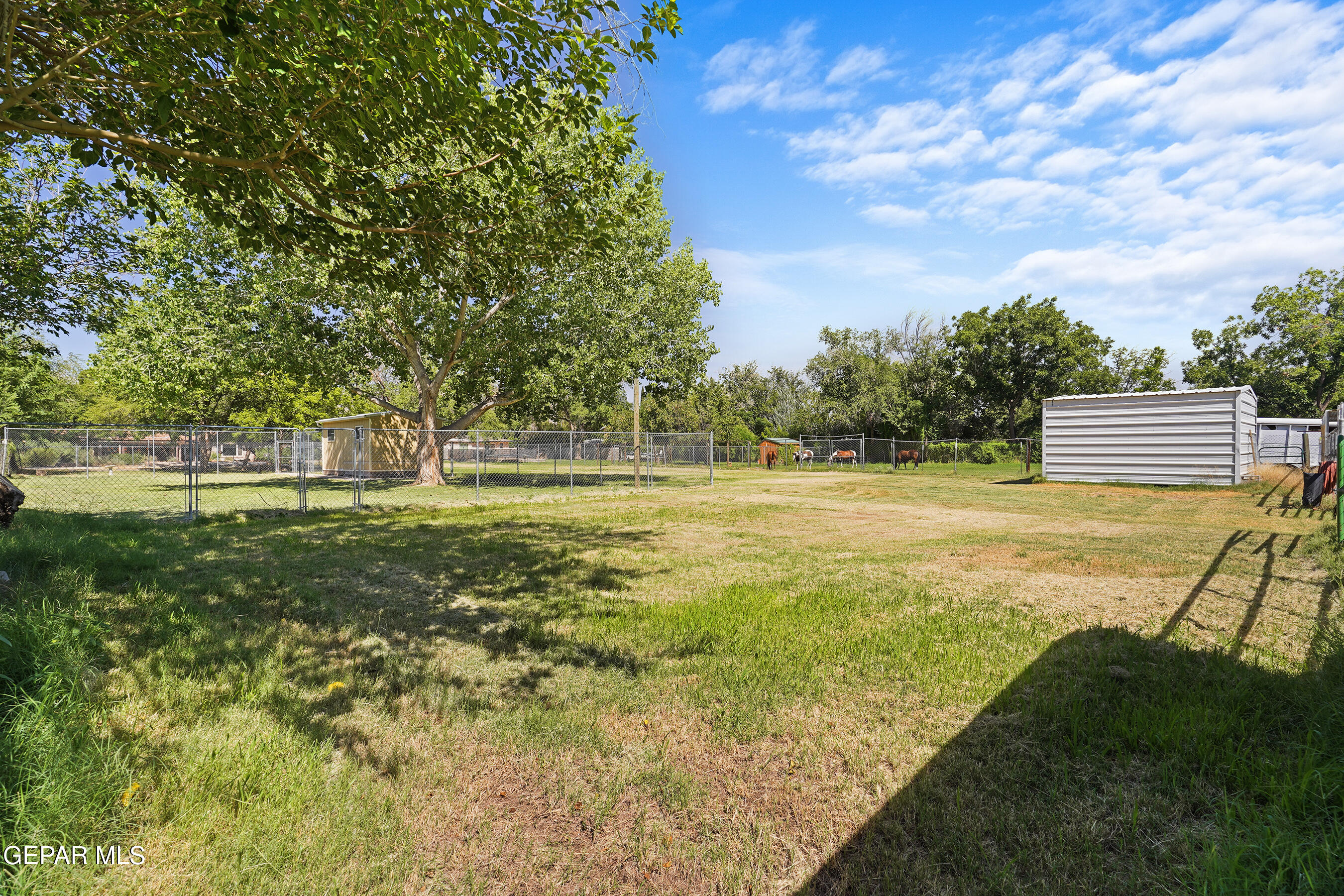 4279 BOY SCOUT Lane