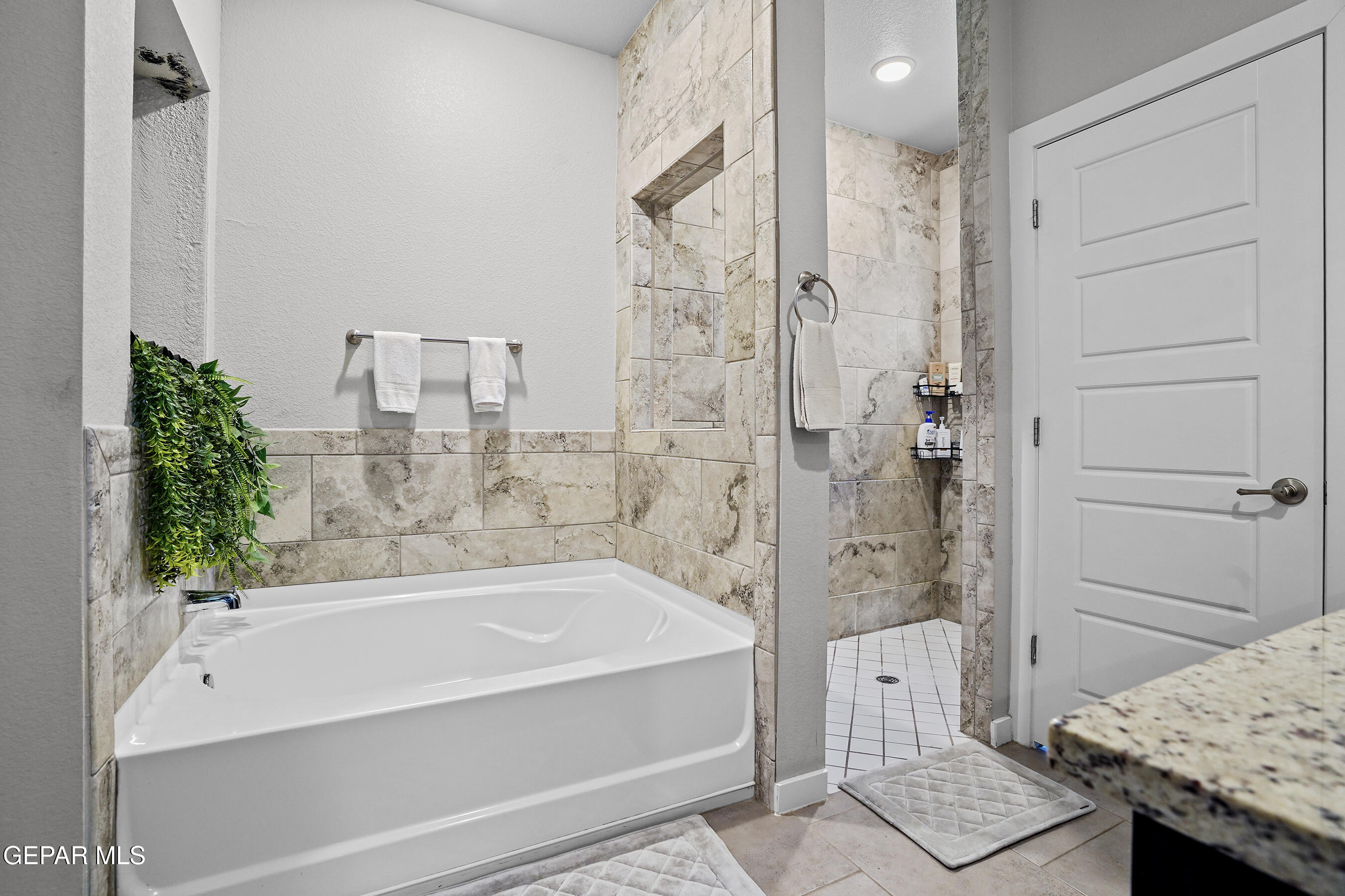 12068 MESQUITE RIVER Drive