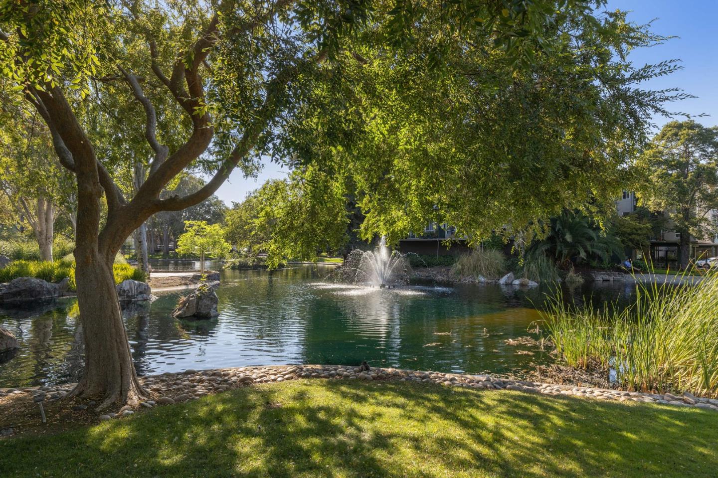 833 N Humboldt ST 501