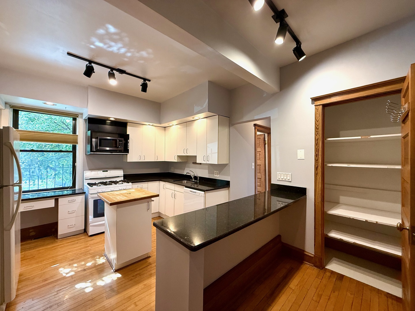 1901 N Hoyne Avenue Unit: 1