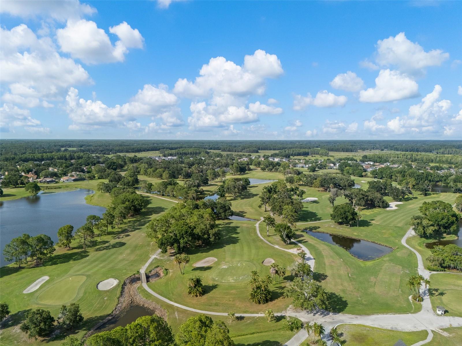 15615 SHOAL CREEK PL