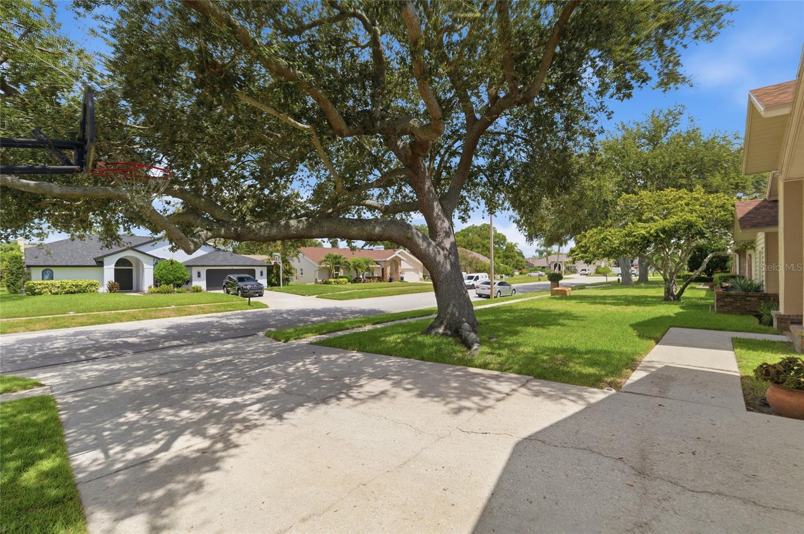 3367 E LAKE SHORE LN